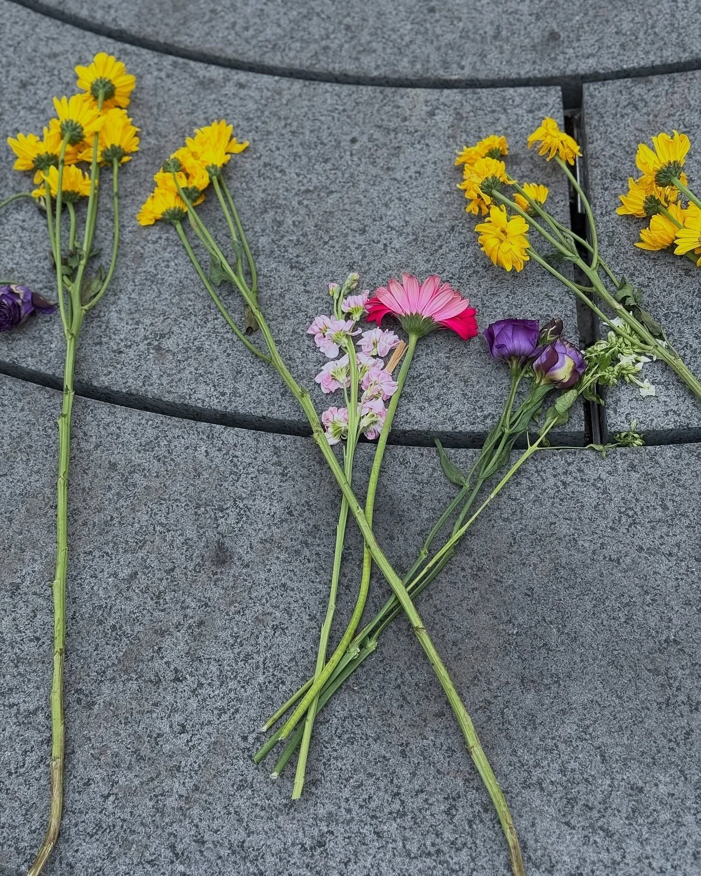 In the depths of winter, a flash of color &mdash; stems resting upon the central fountain at #NYCAIDSMemorial &mdash; to remind us that spring will come. 📸 @francesco212