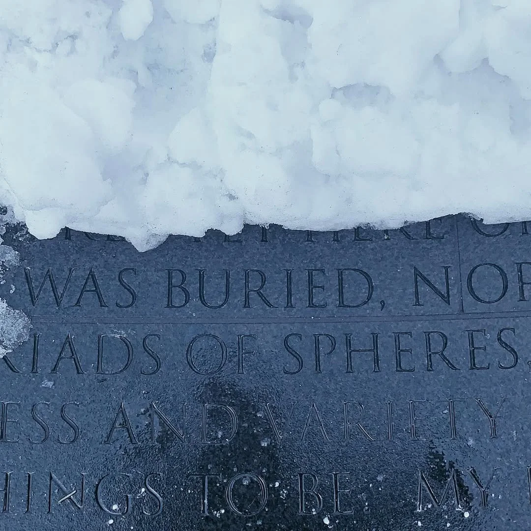 Winter came &ldquo;in like a lion,&rdquo; as the saying goes. Here&rsquo;s to hoping it exits &ldquo;like a lamb!&rdquo; #Flashback to winter 2021. #NYCAIDSMemorial