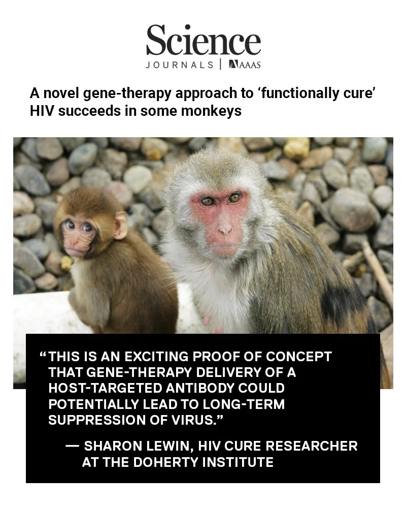 New research, building upon earlier studies, is yielding encouraging results for those seeking to cure HIV. @sciencemagazine reports that a new gene-therapy strategy "doesn&rsquo;t completely rid the body of the virus ... but given the difficult