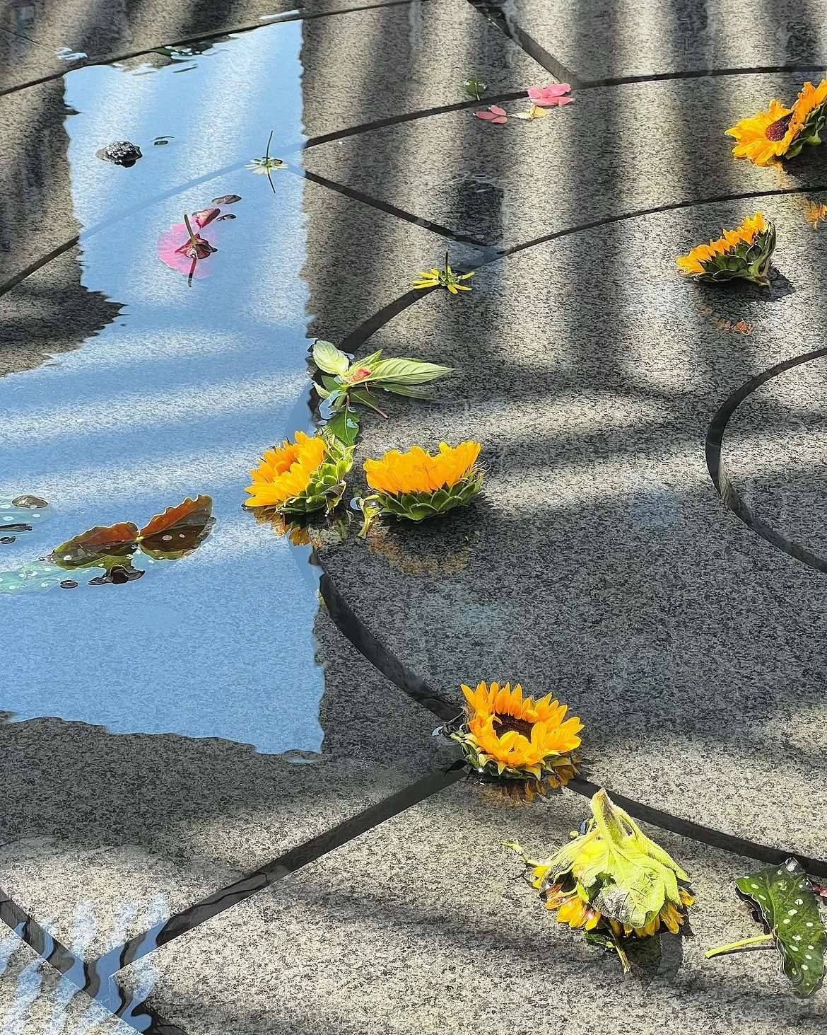 There&rsquo;s beauty all around us; keep your eyes open 📸 @francesco212 #NYCAIDSMemorial