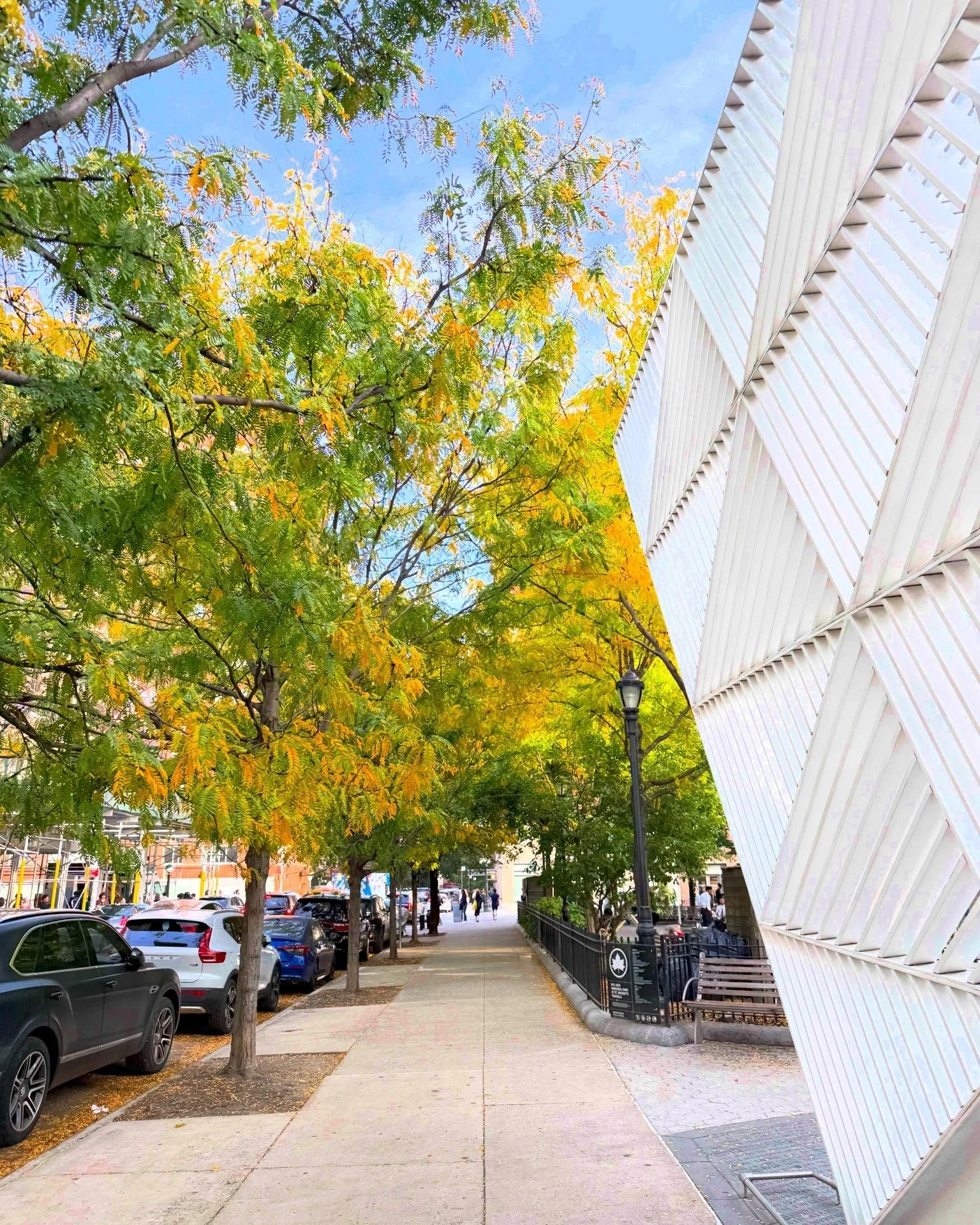 Watching the seasons change at #NYCAIDSMemorial is such a pleasure. On your next visit, as the trees turn ever-more golden, snap a photo and tag us! 📸 @francesco212