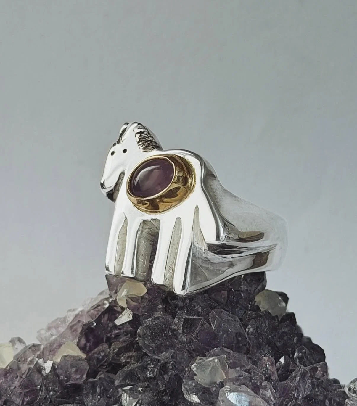 Year of the horse kicking off with @ratbetty &lsquo;mayoneighs&rsquo; pendant 🐴