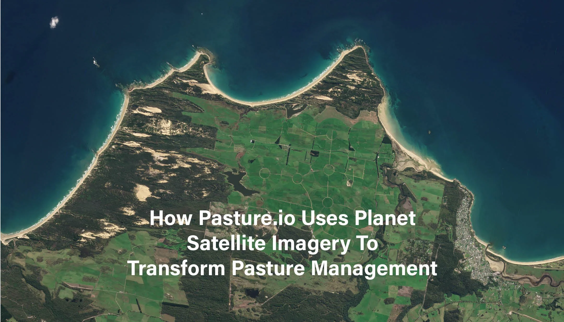 Planet Blog Image.jpg