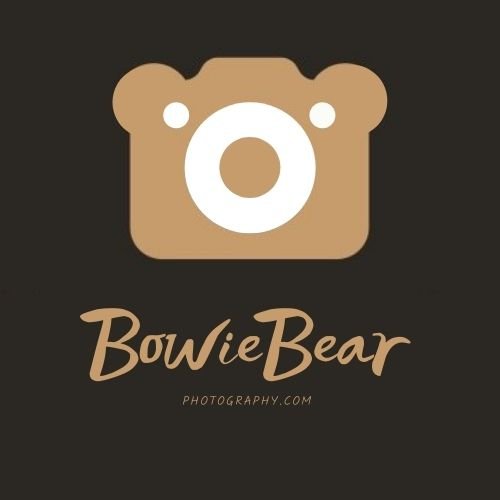 BowieBear Photography