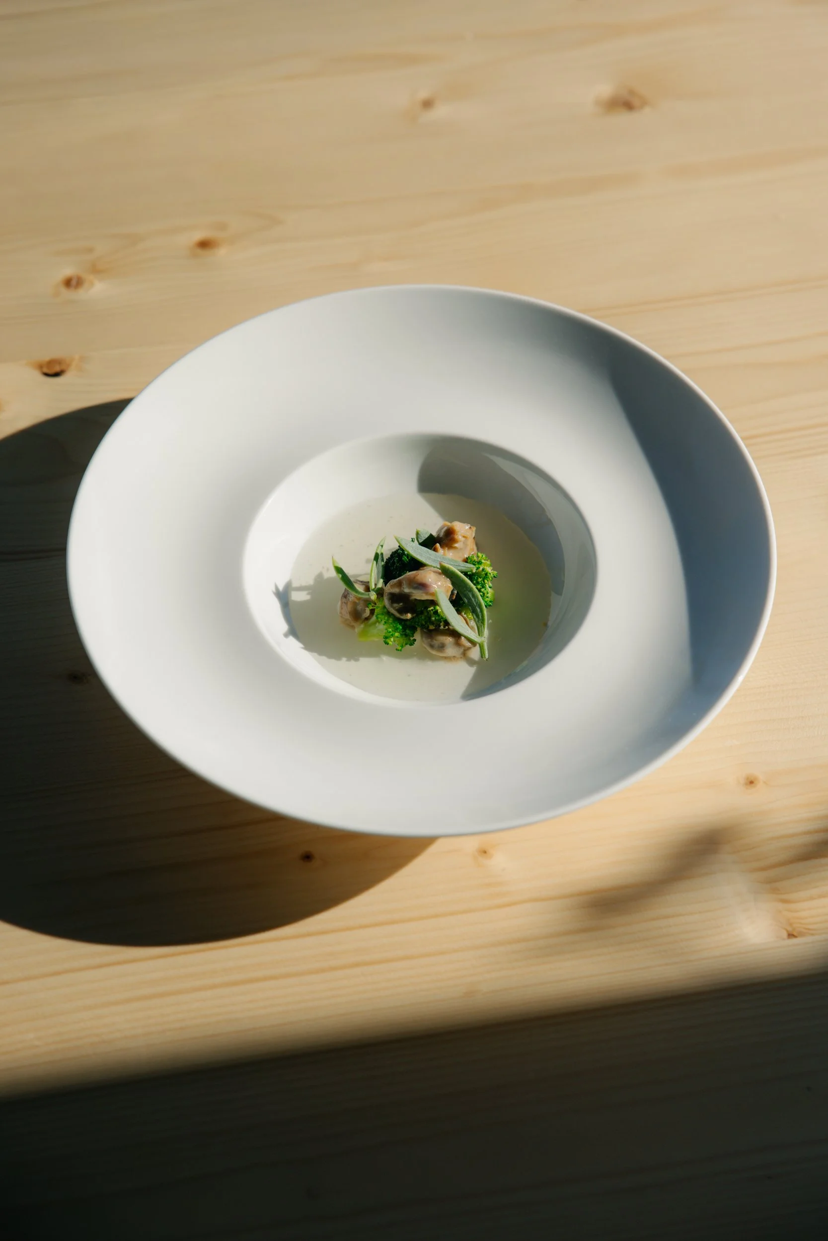 Stilla November17651_low.jpg