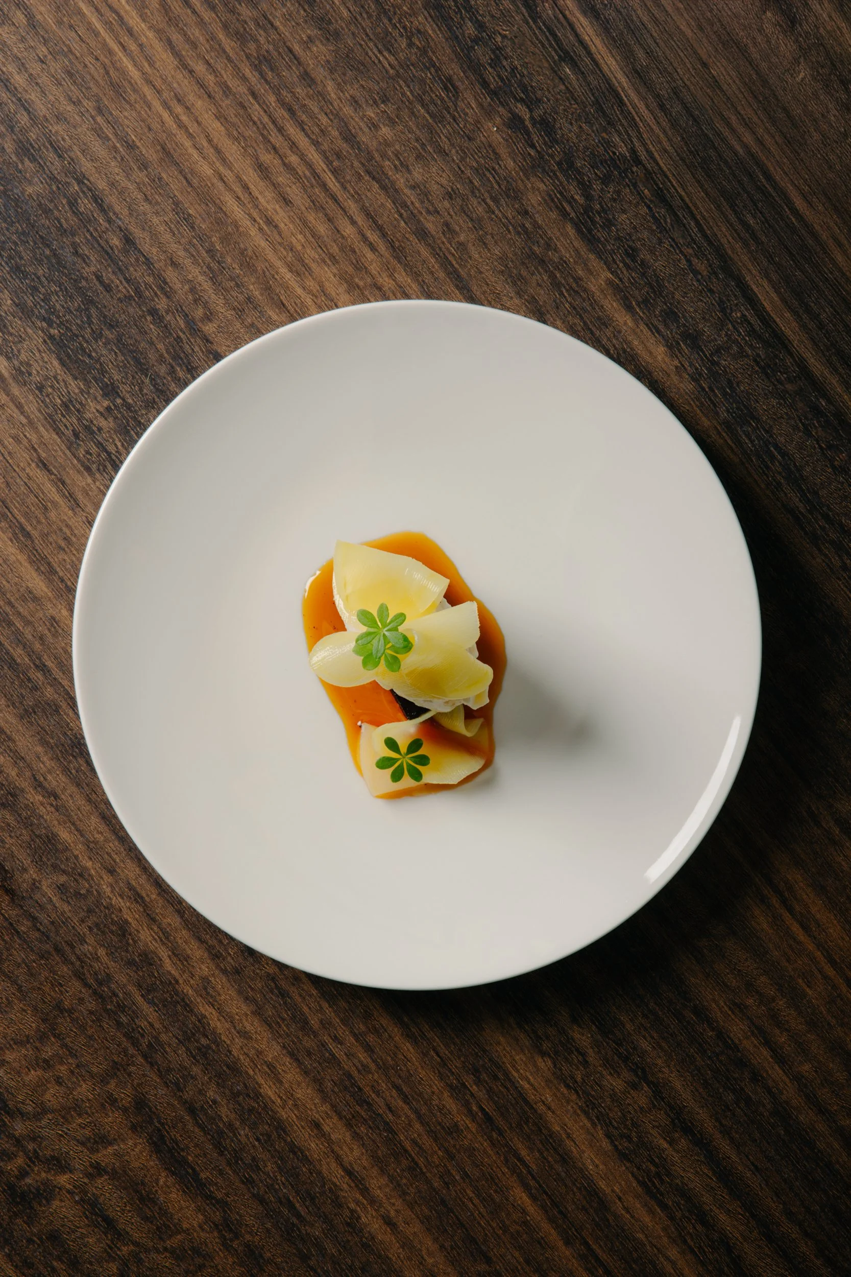 Stilla November17768_low.jpg