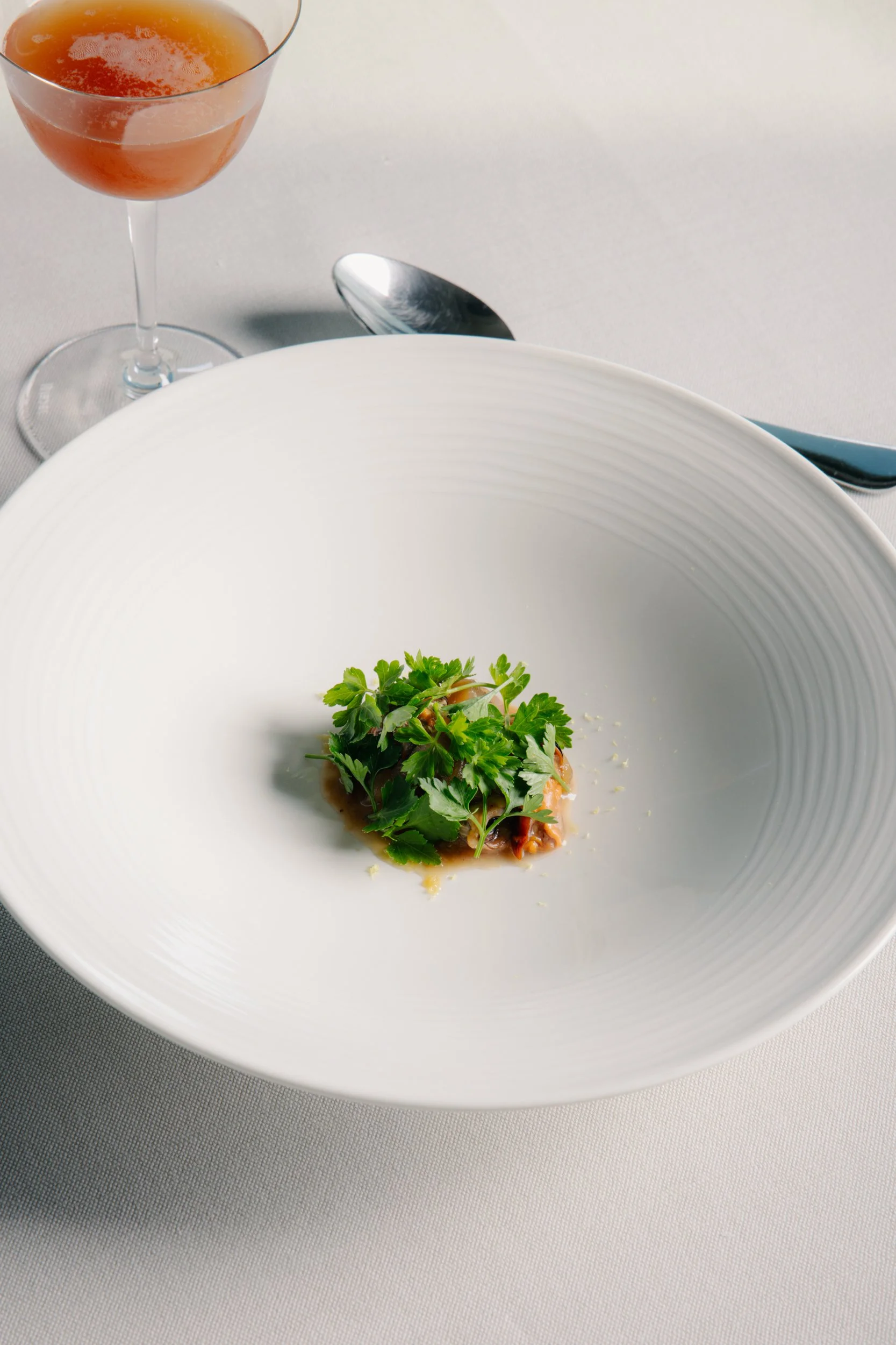 Stilla November17877_low.jpg