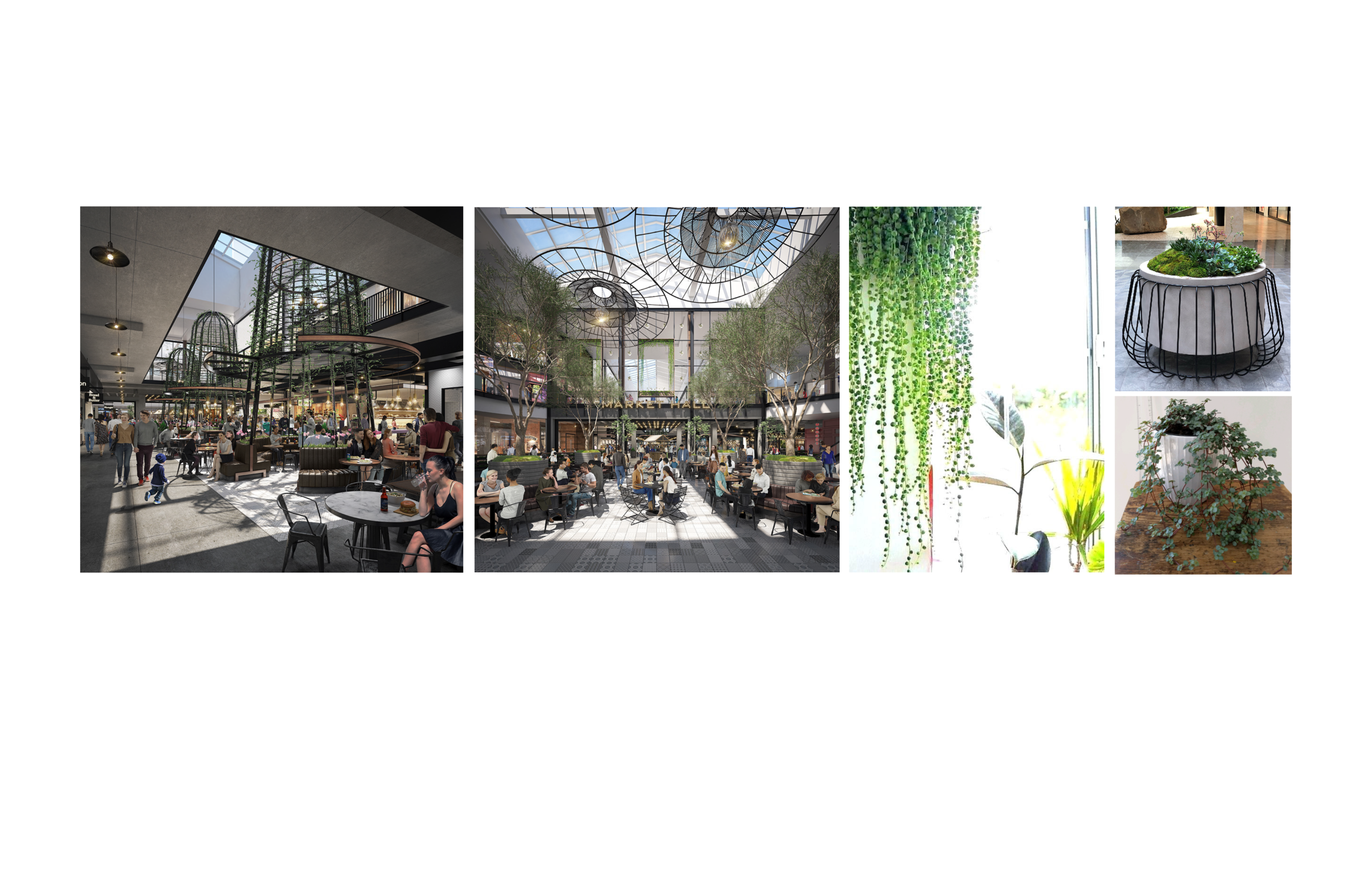 Westfield Topanga Flagship Food Hall and Theatre Expansion — Reis & Parc  Studio