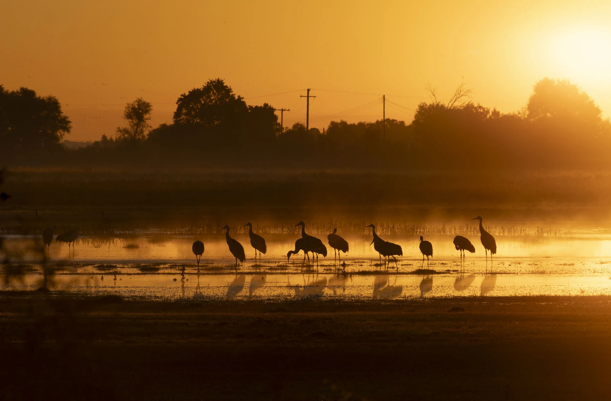 sandhills.jpg