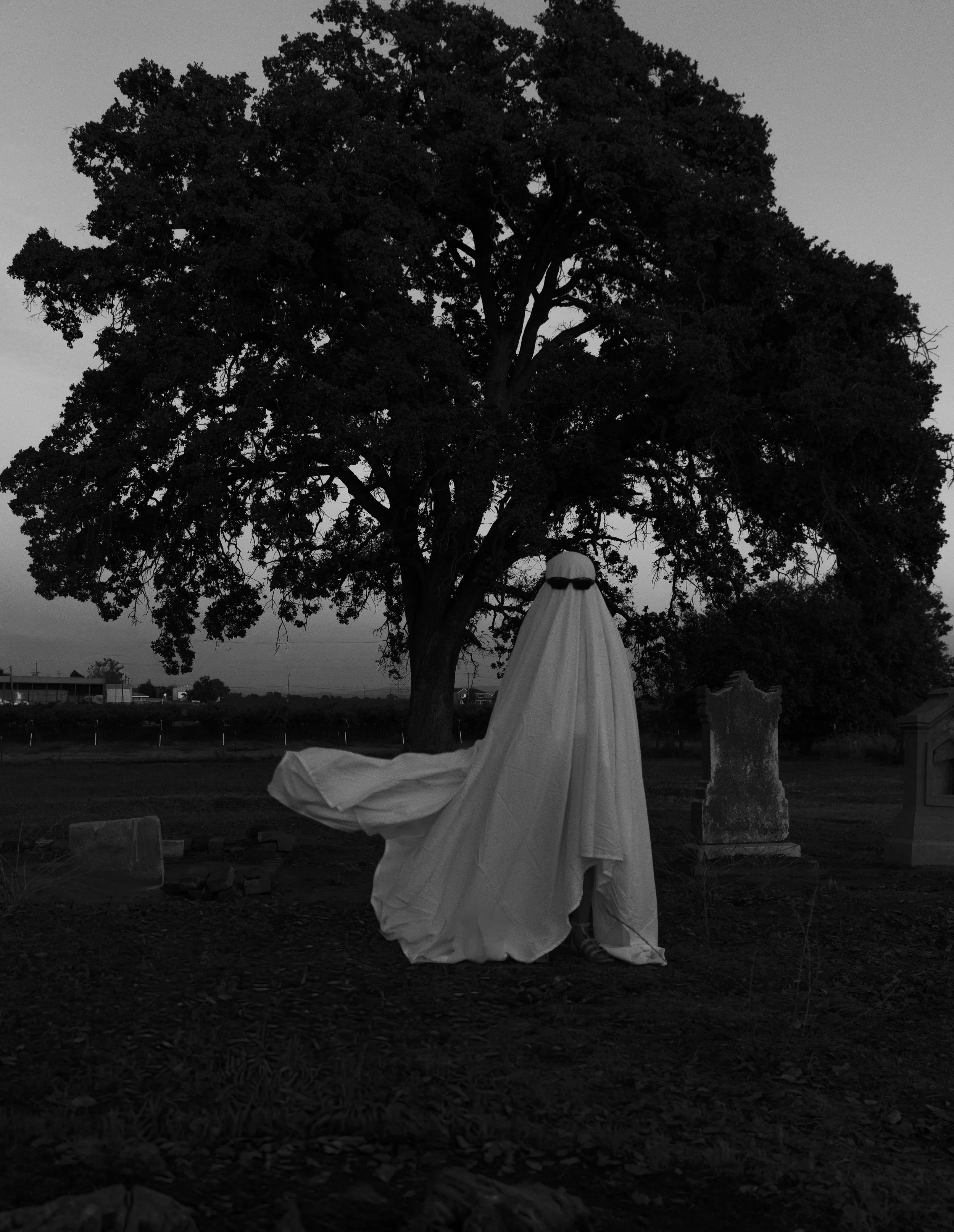 ghost3.jpg