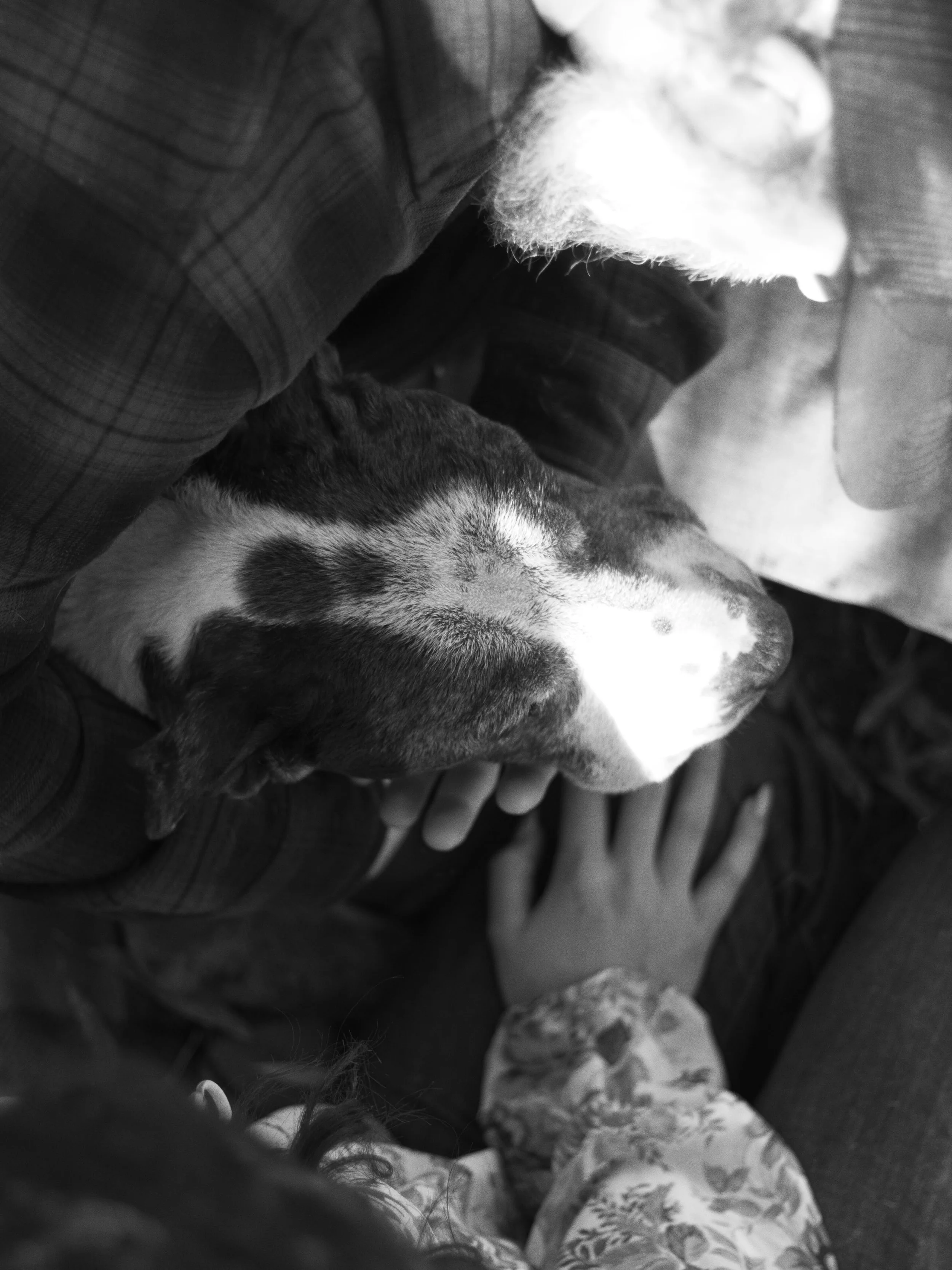 _MG_6673.jpg