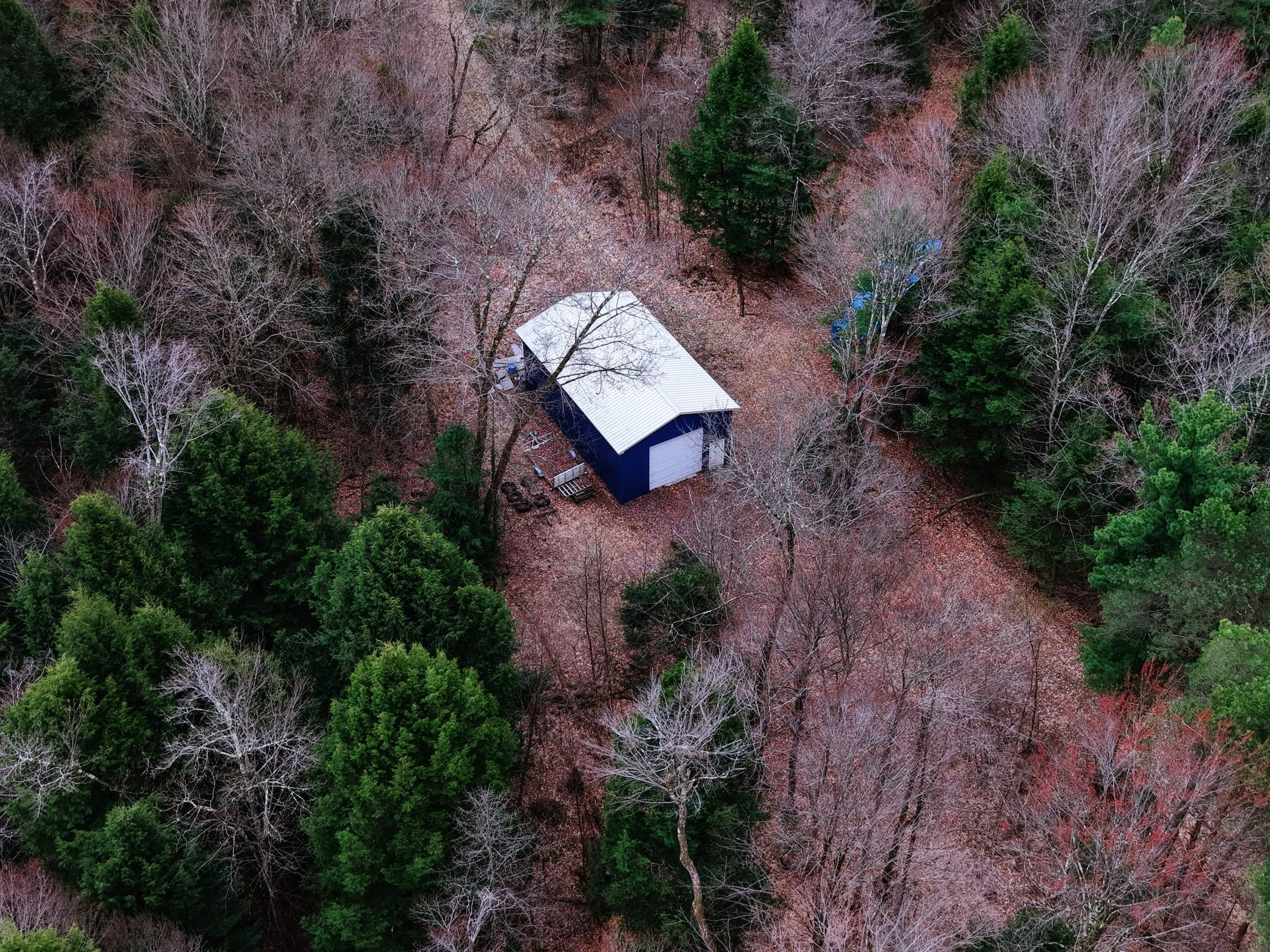 shed1.jpg