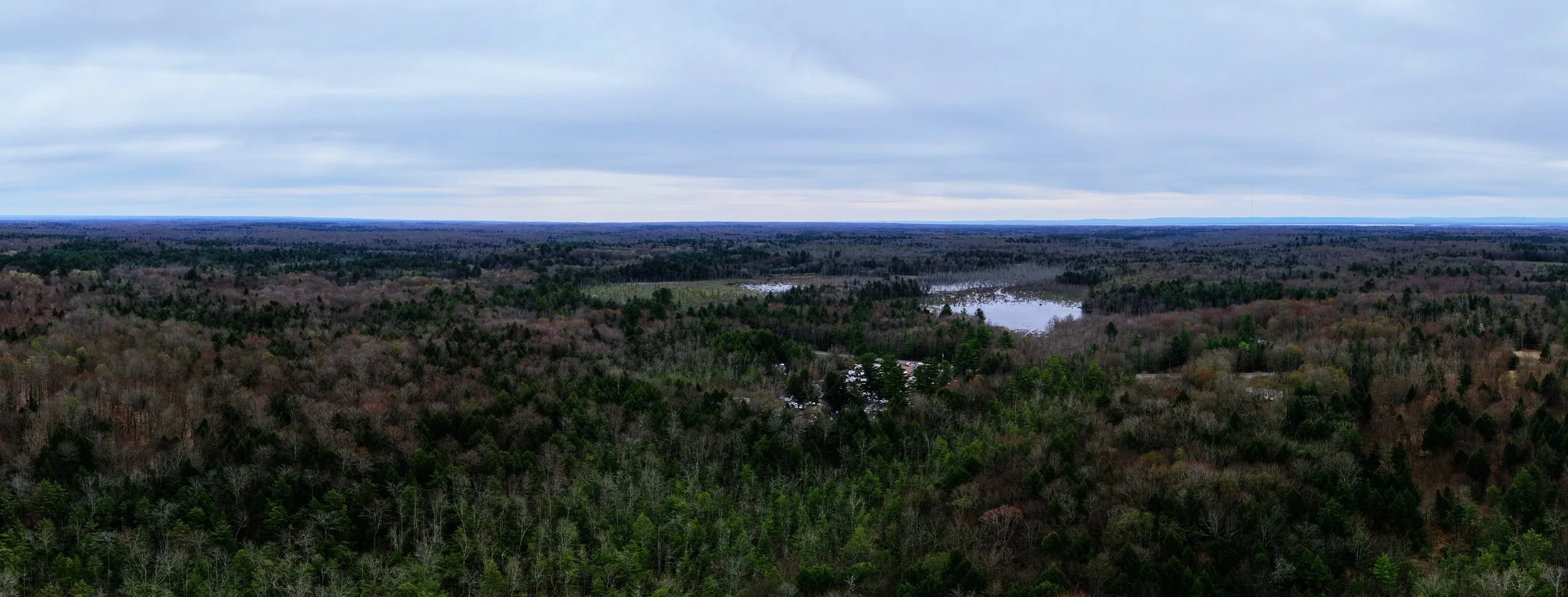 pano5.jpg