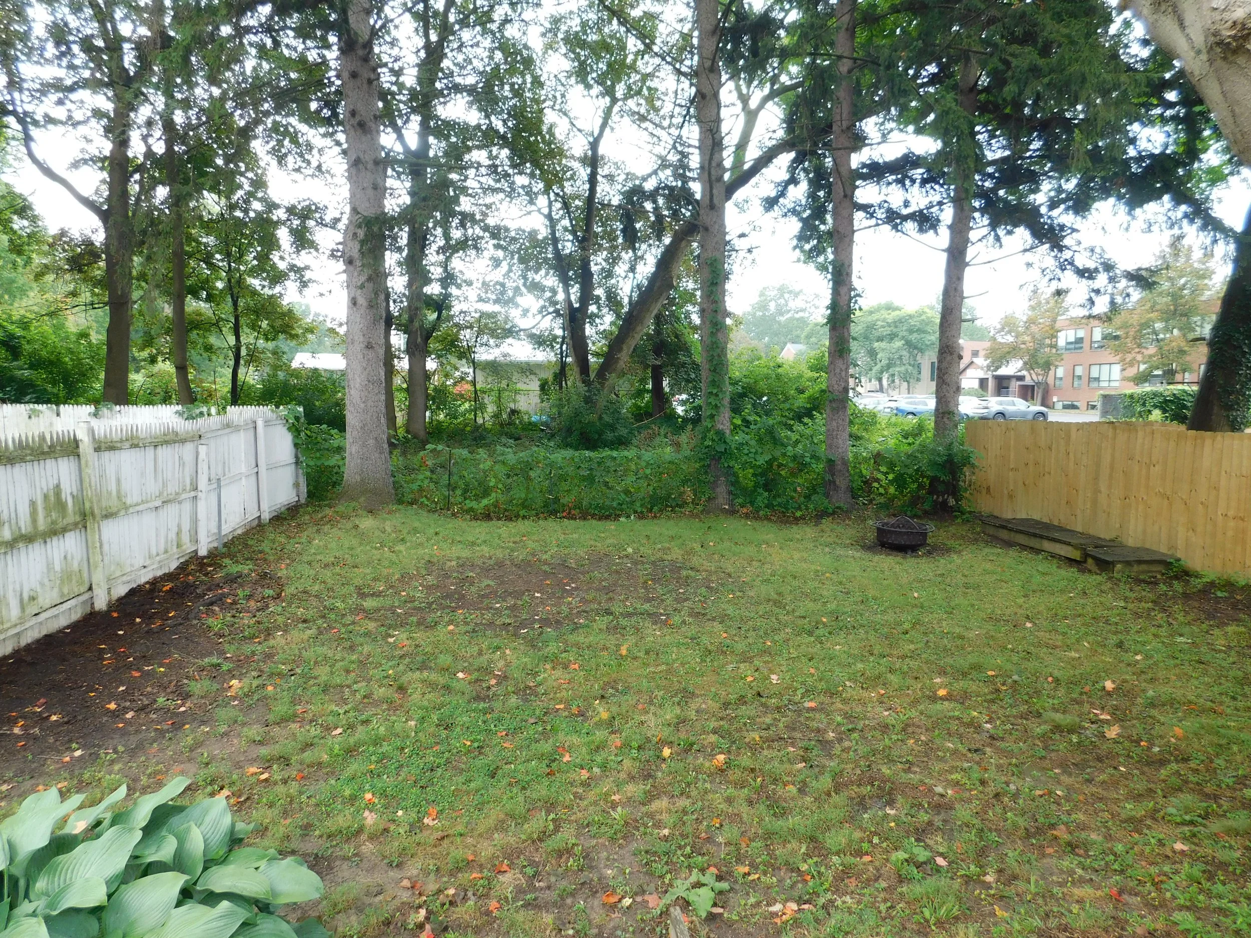DSCN0579.JPG