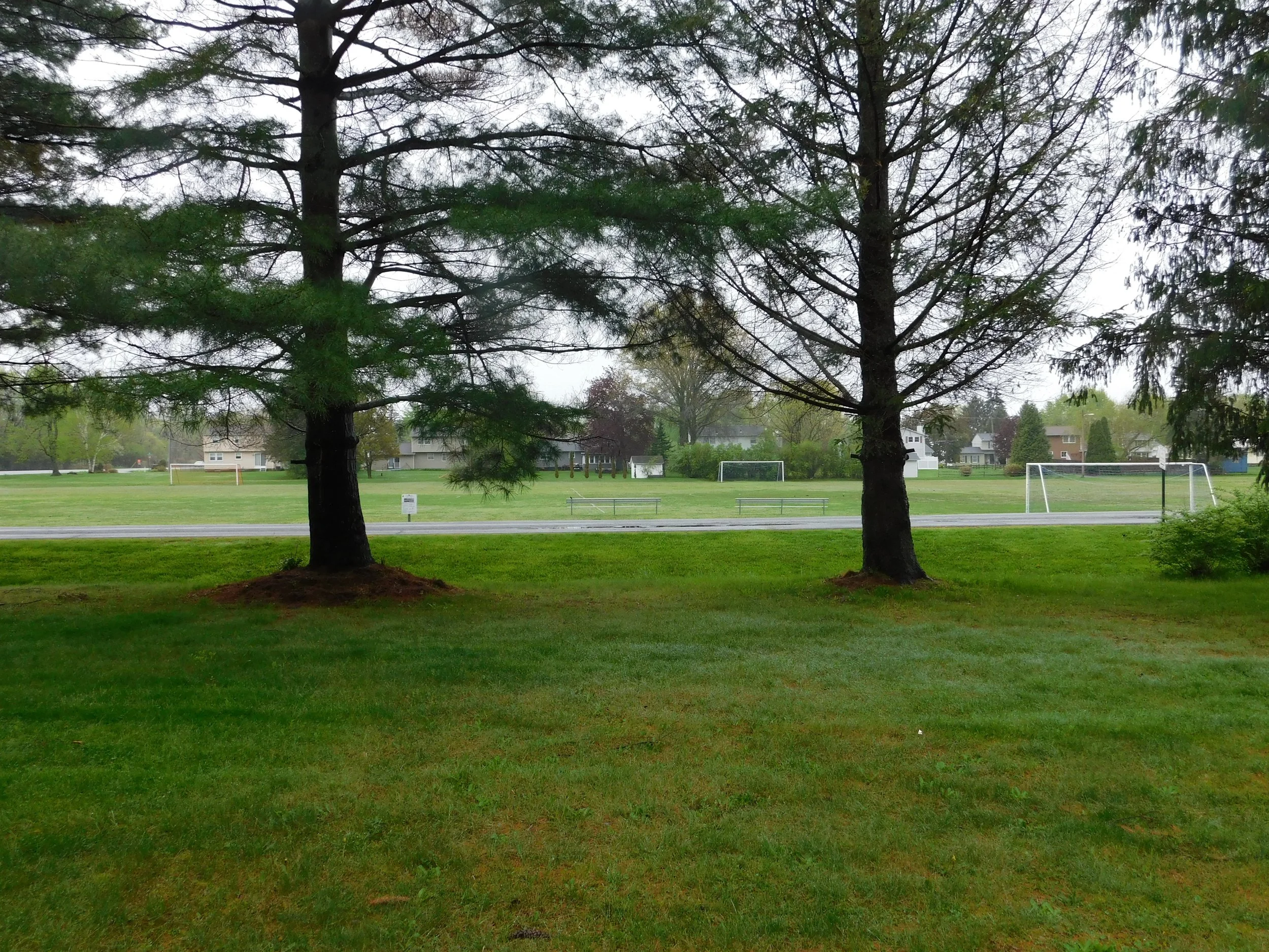 DSCN0512.JPG