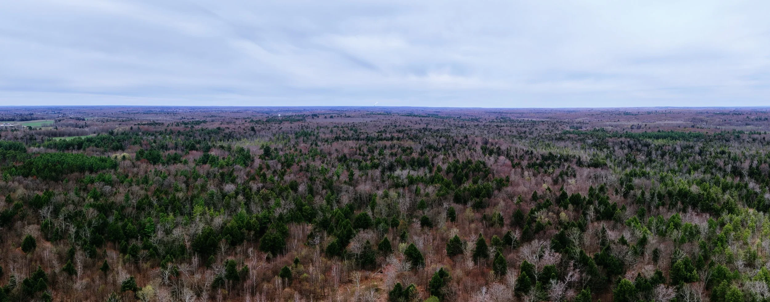 pano6.jpg