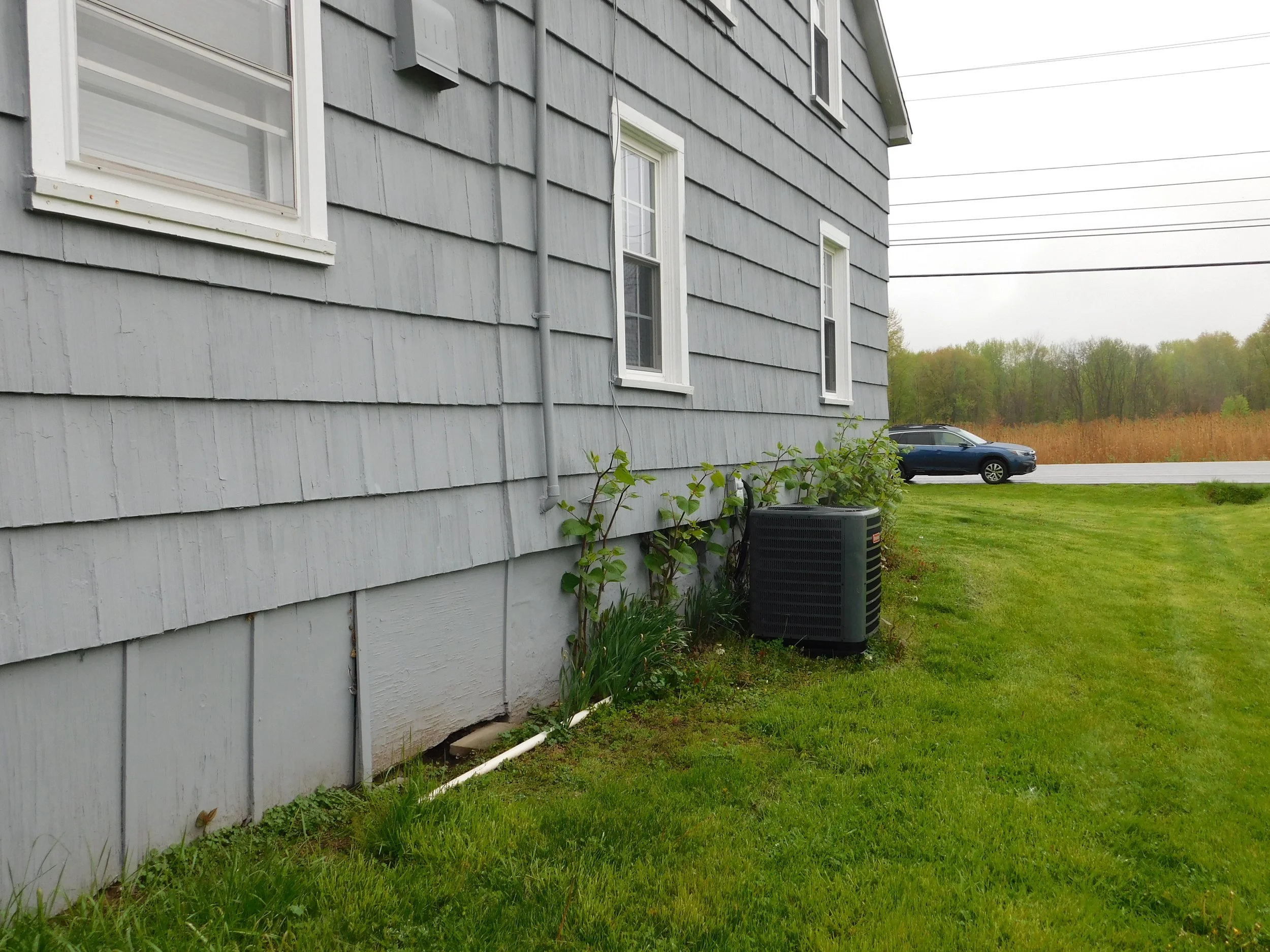 DSCN0505.JPG