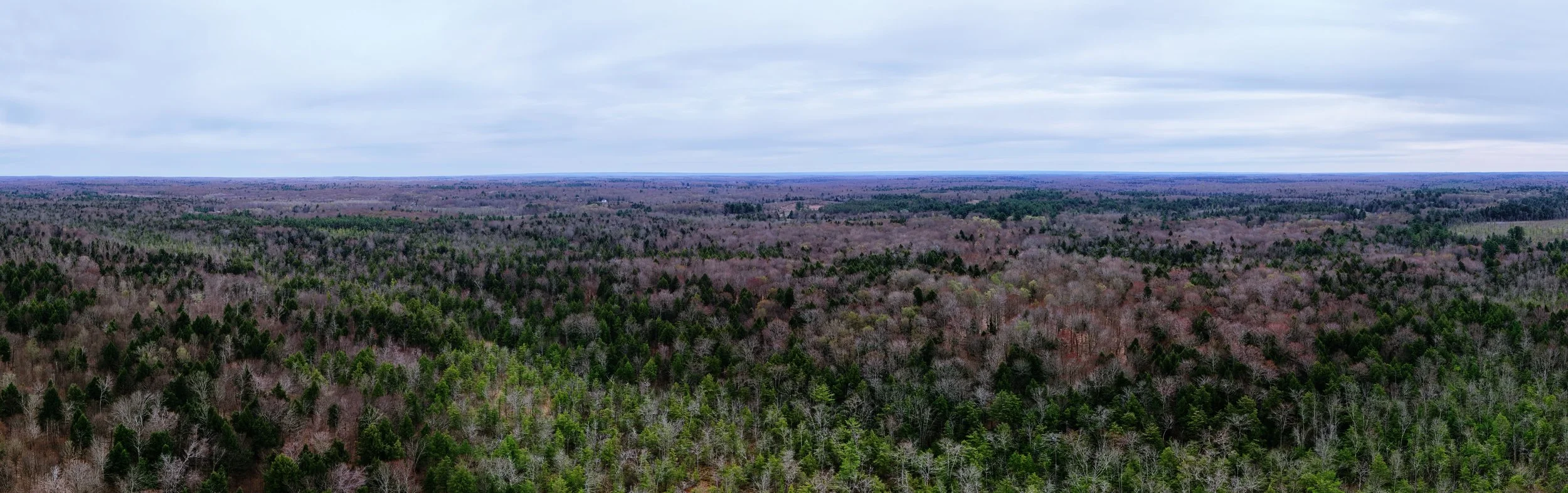 pano4.jpg