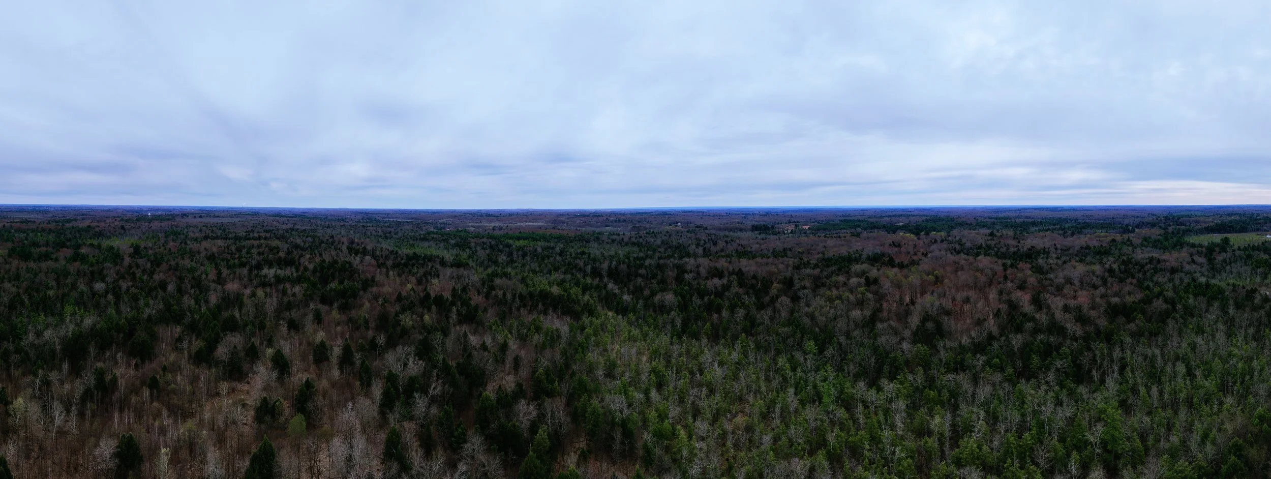 pano1.jpg