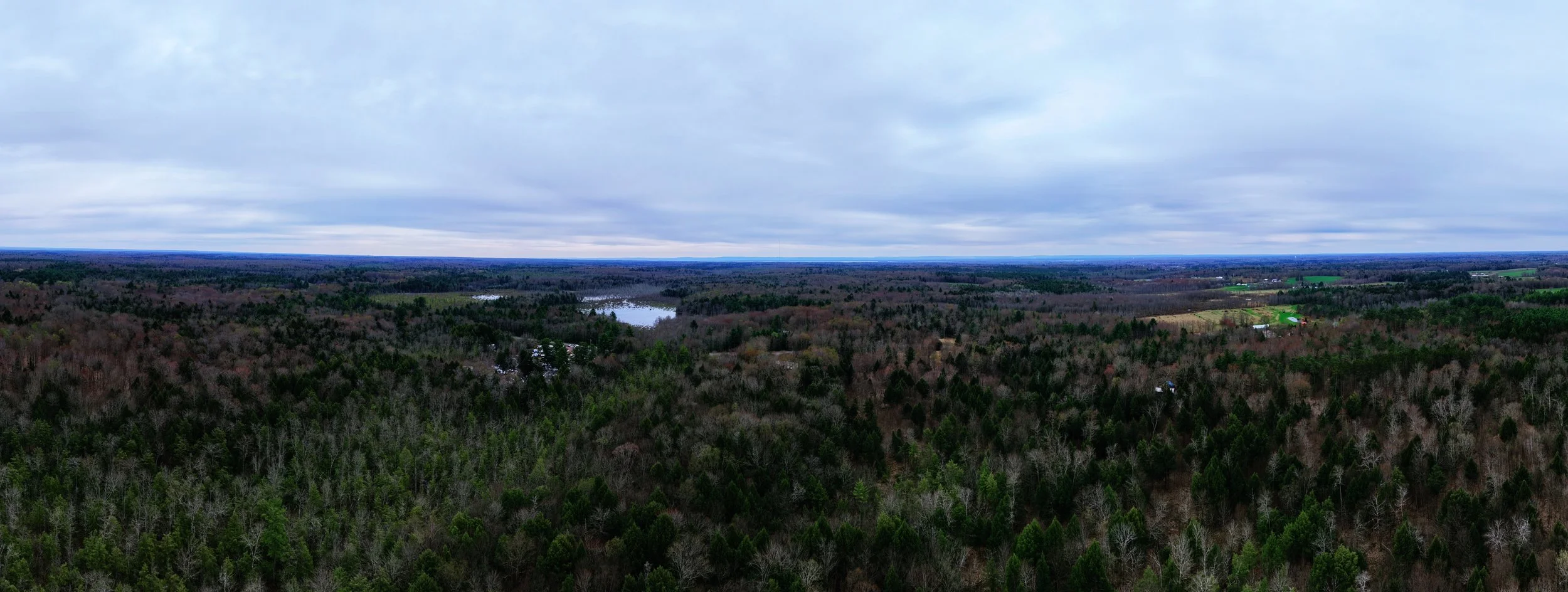 pano2.jpg