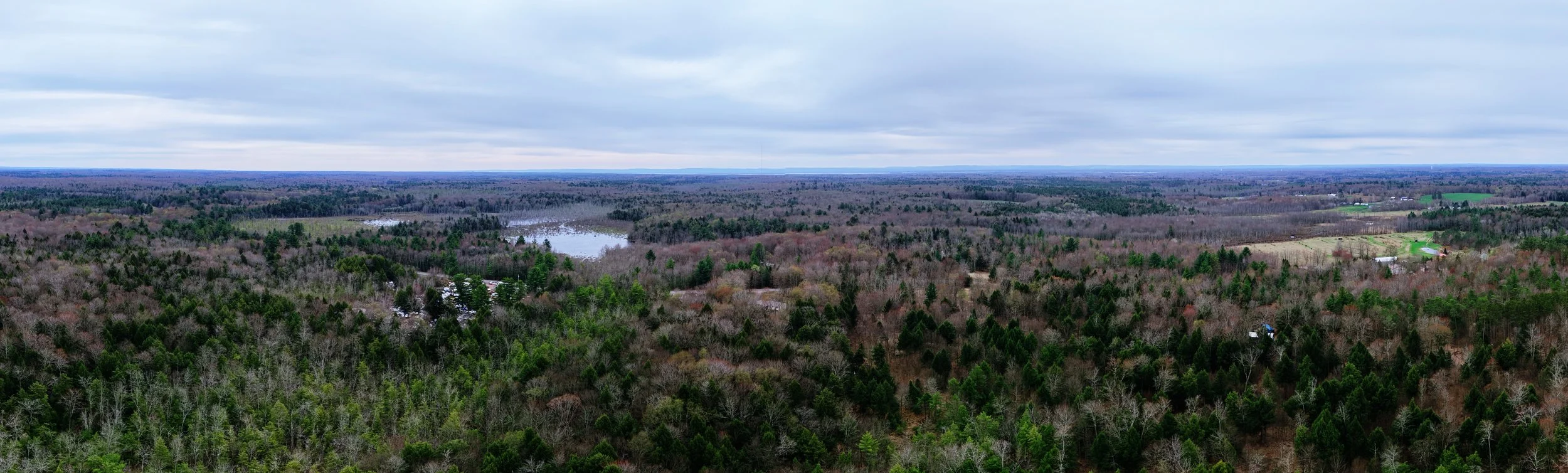pano3.jpg