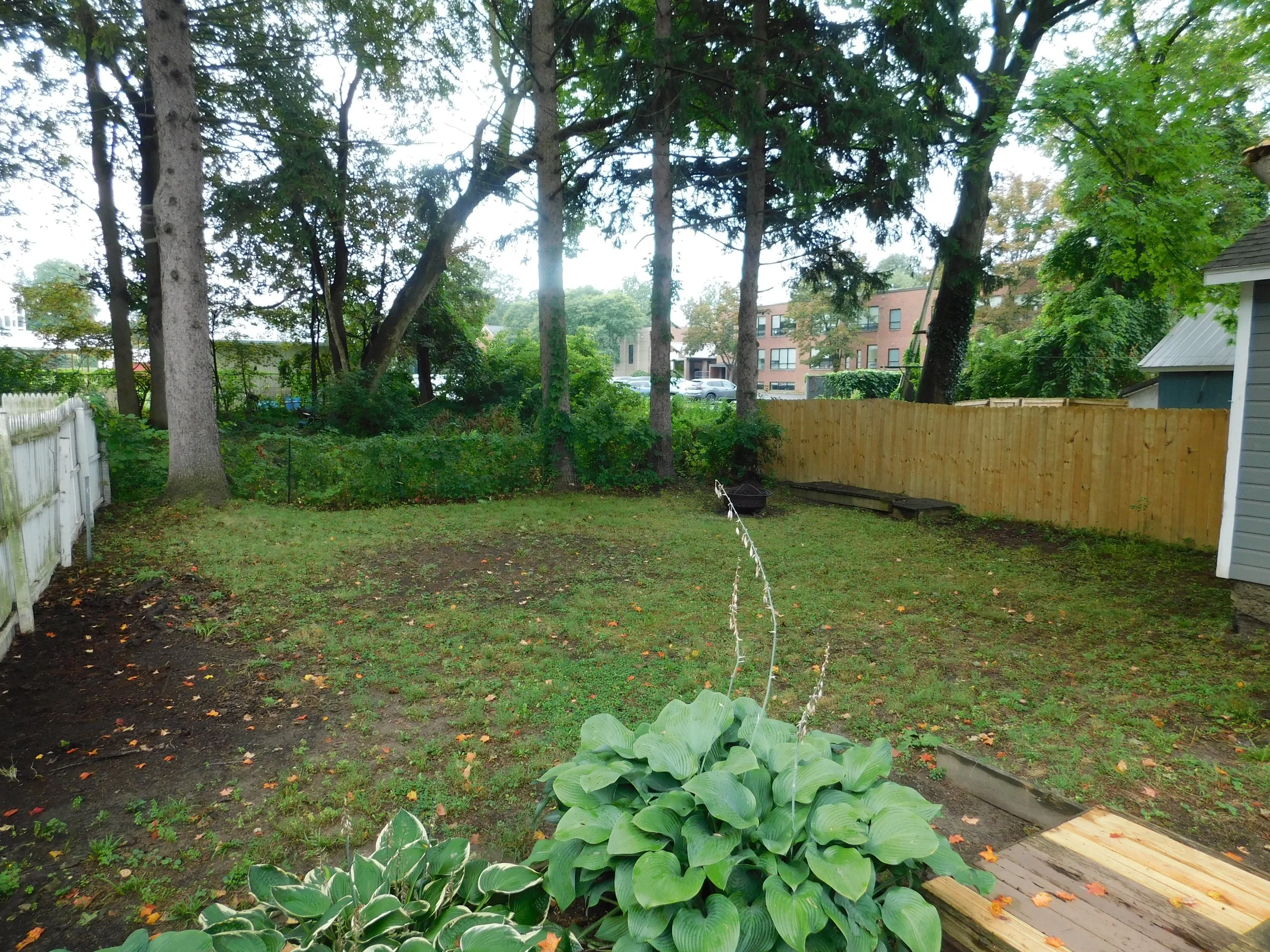DSCN0584.JPG