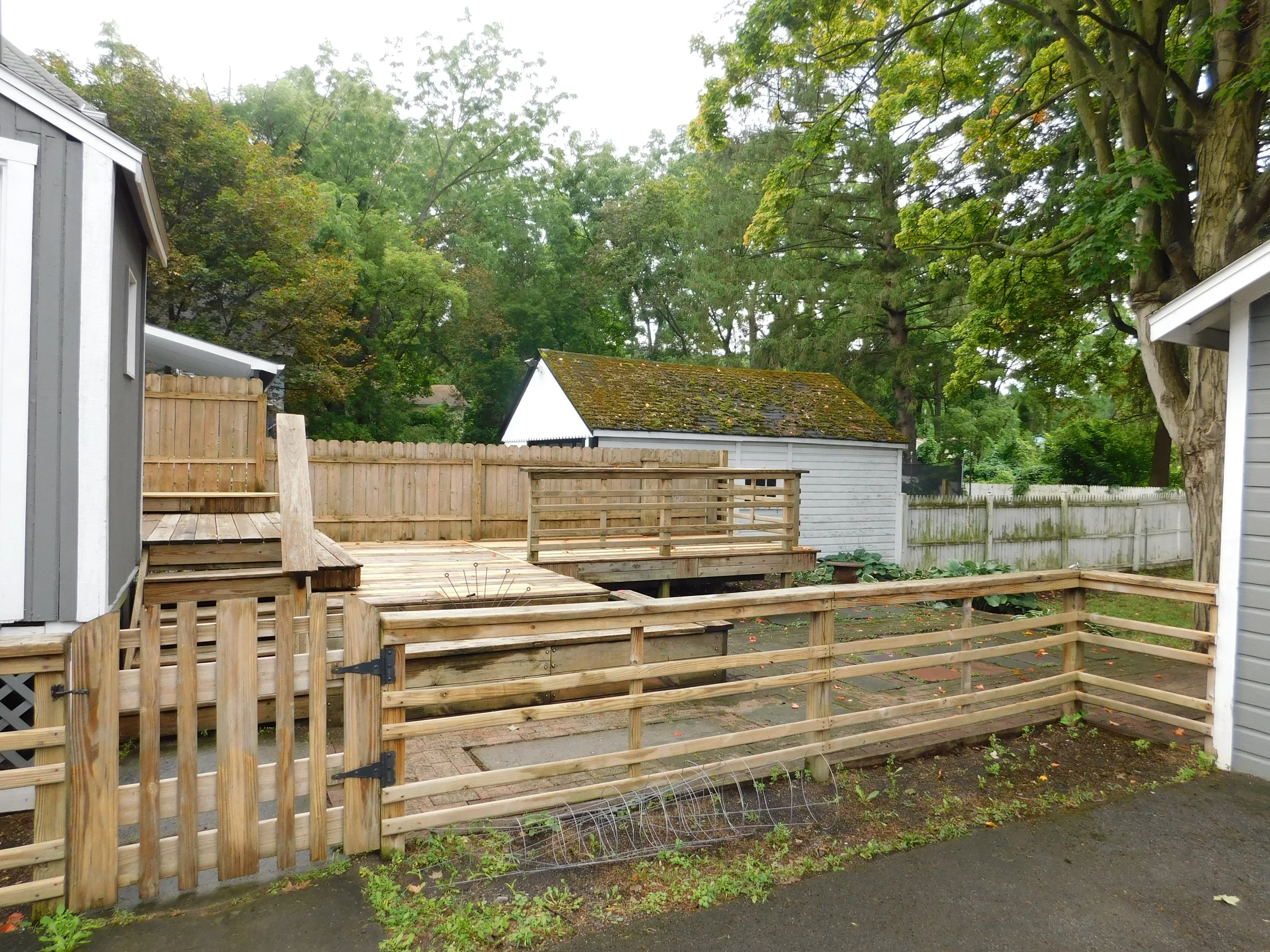 DSCN0586.JPG