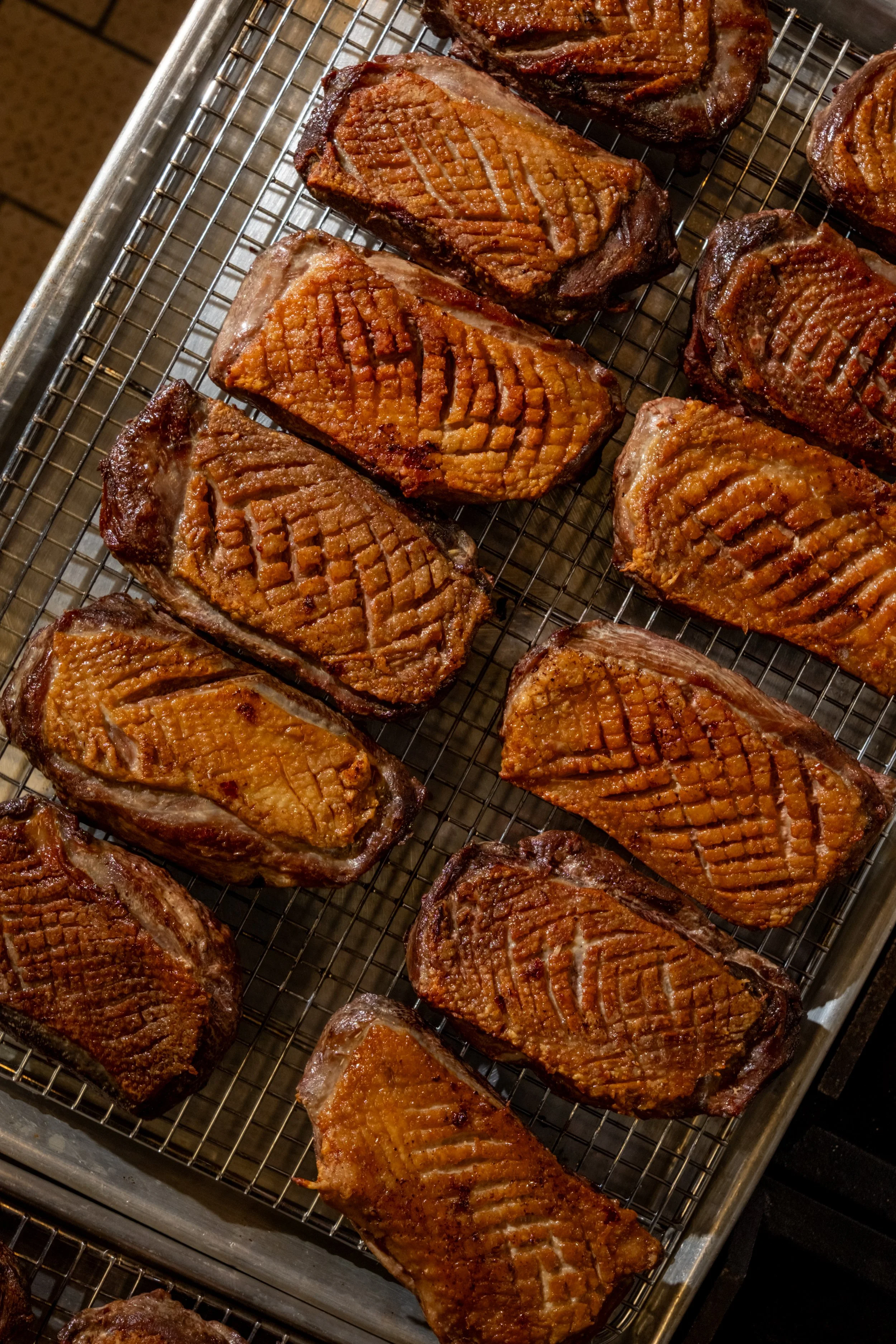 KCTINARIPHOTO -POSTHASTE- 12-19-25 -15.jpg