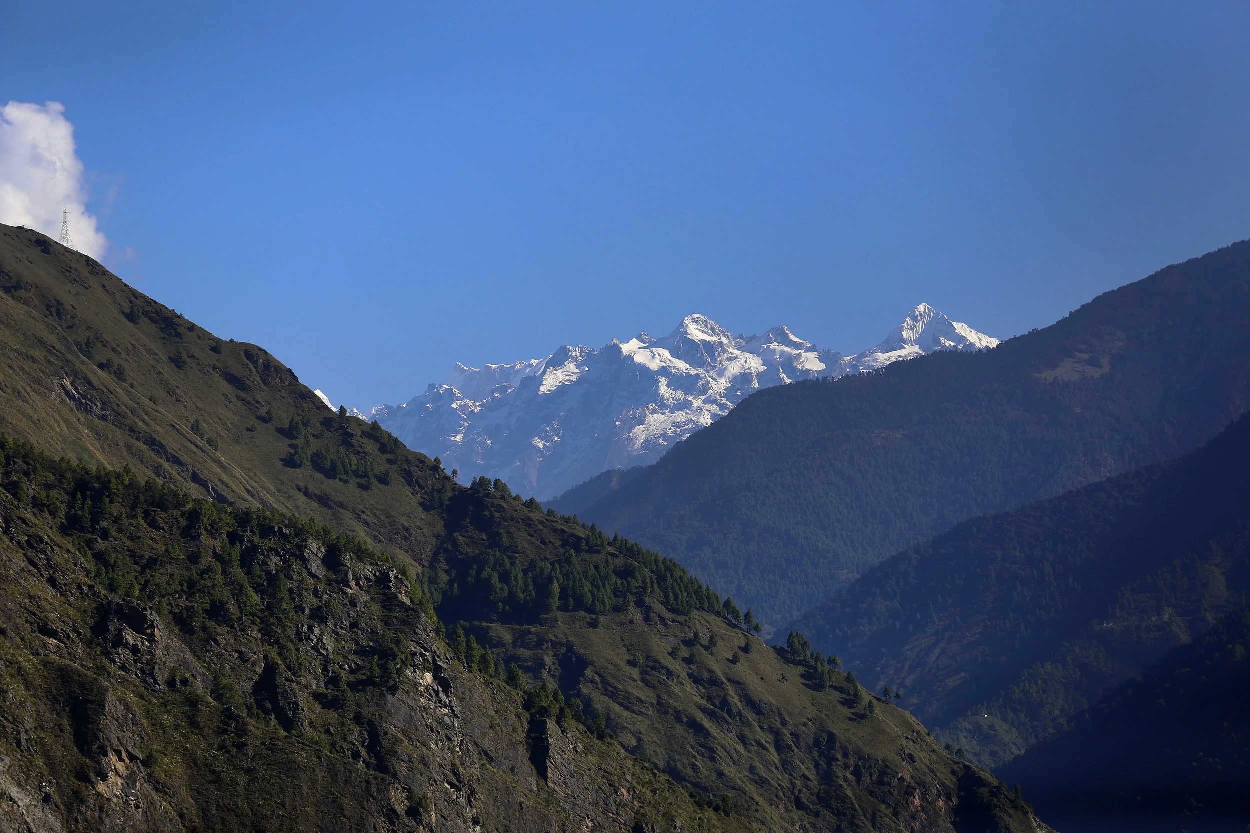 _MG_2647.JPG