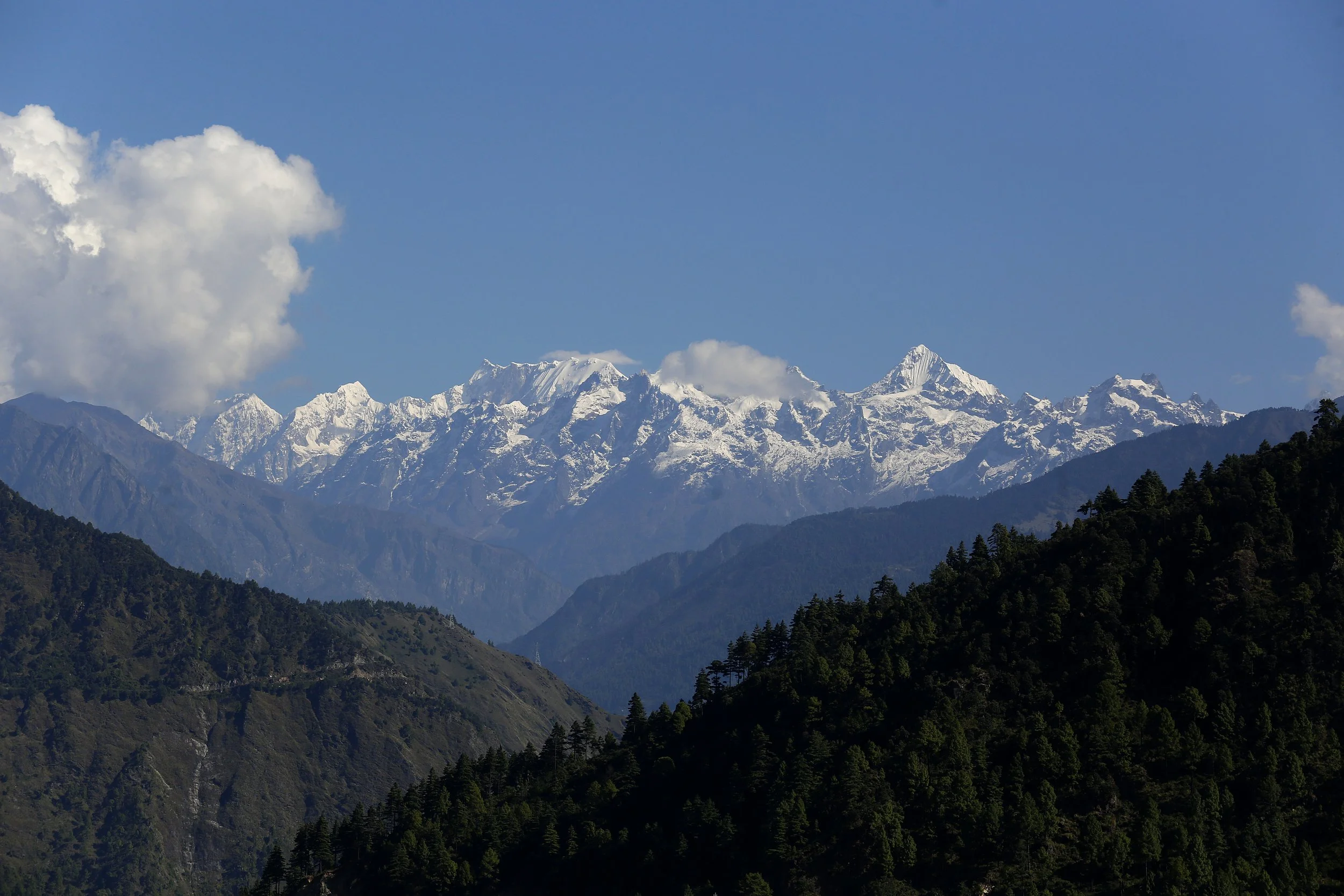 _MG_2682.JPG