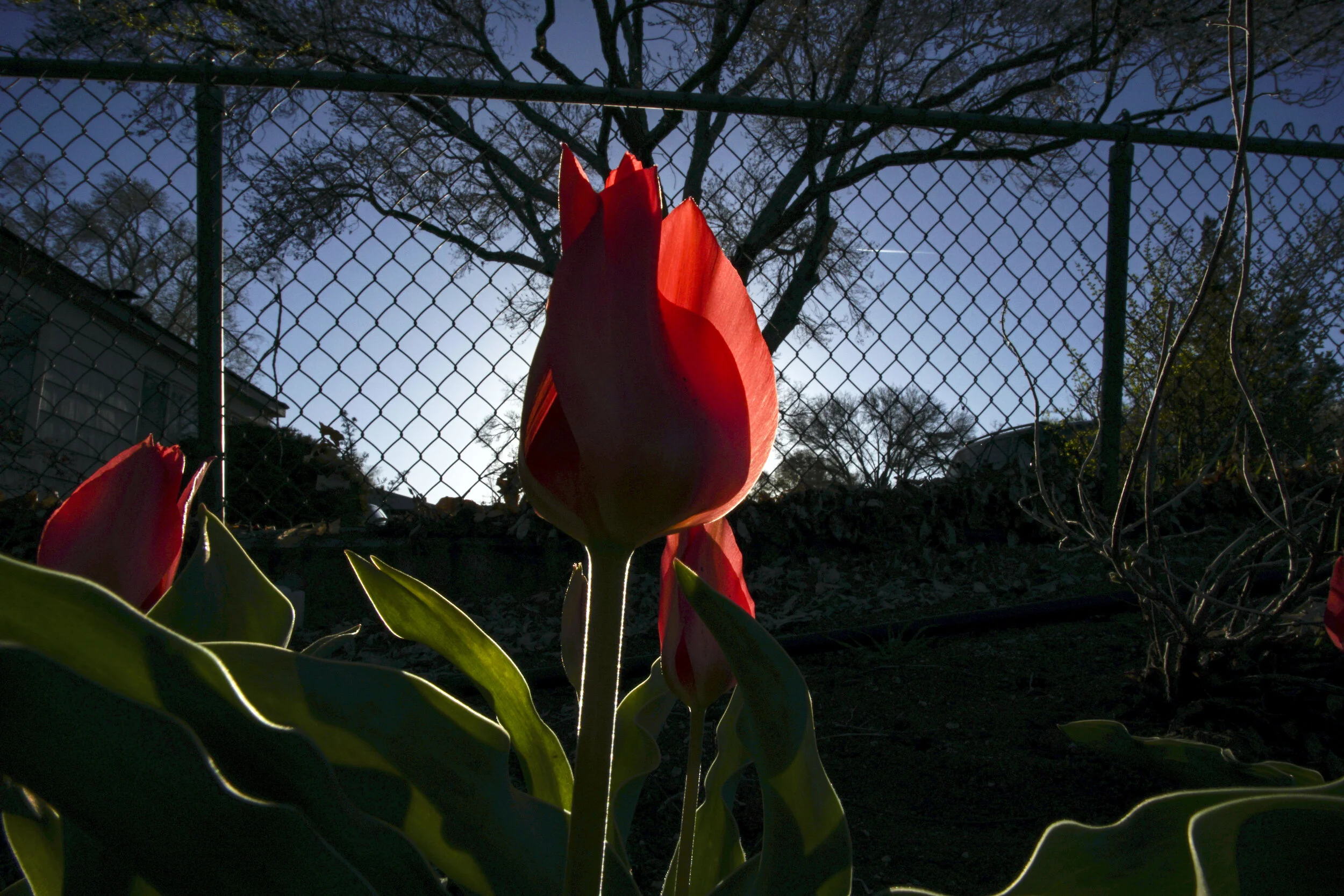 KIR00238.jpg