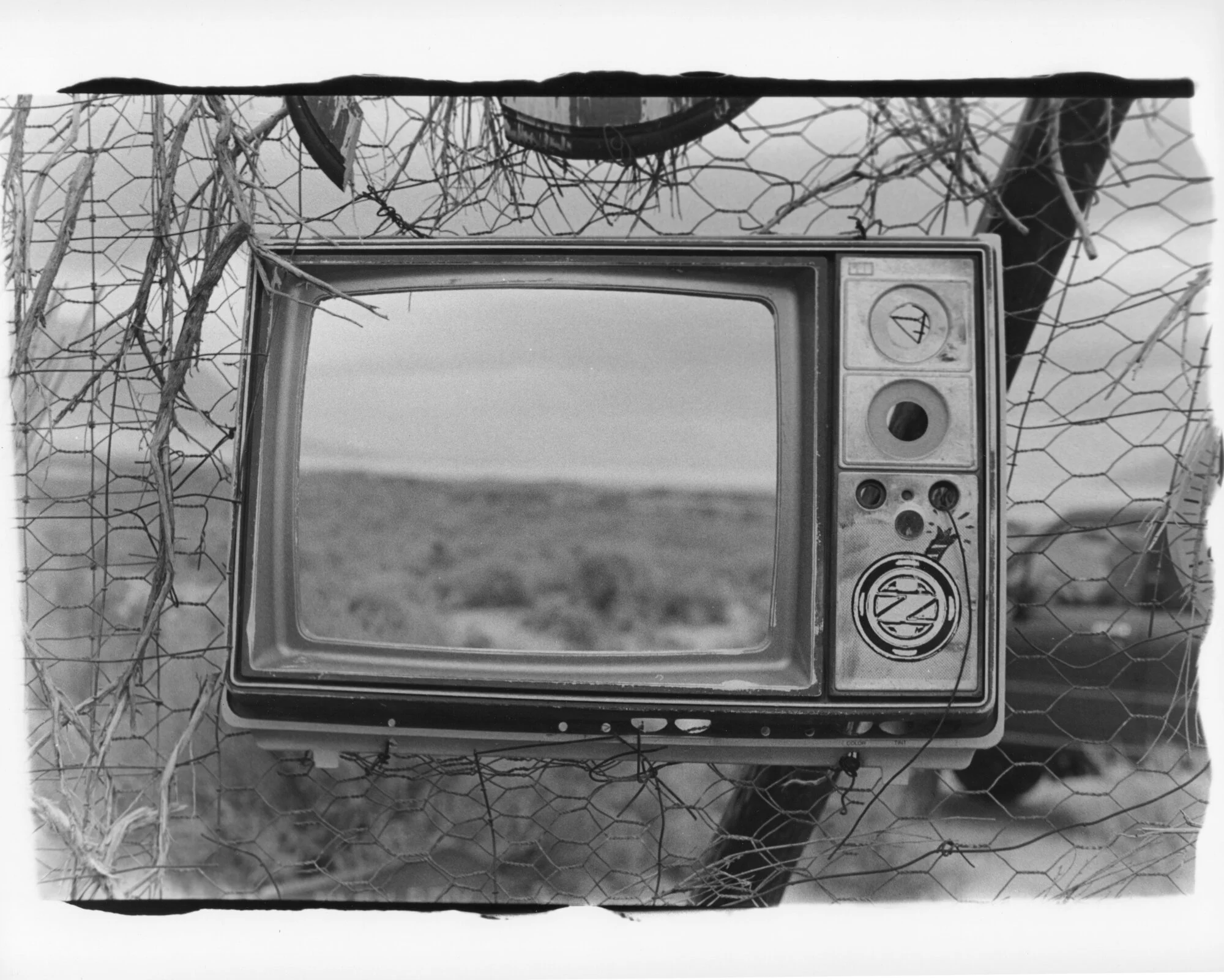 Idiot Box, Dooby Lane, 10x8", 2020