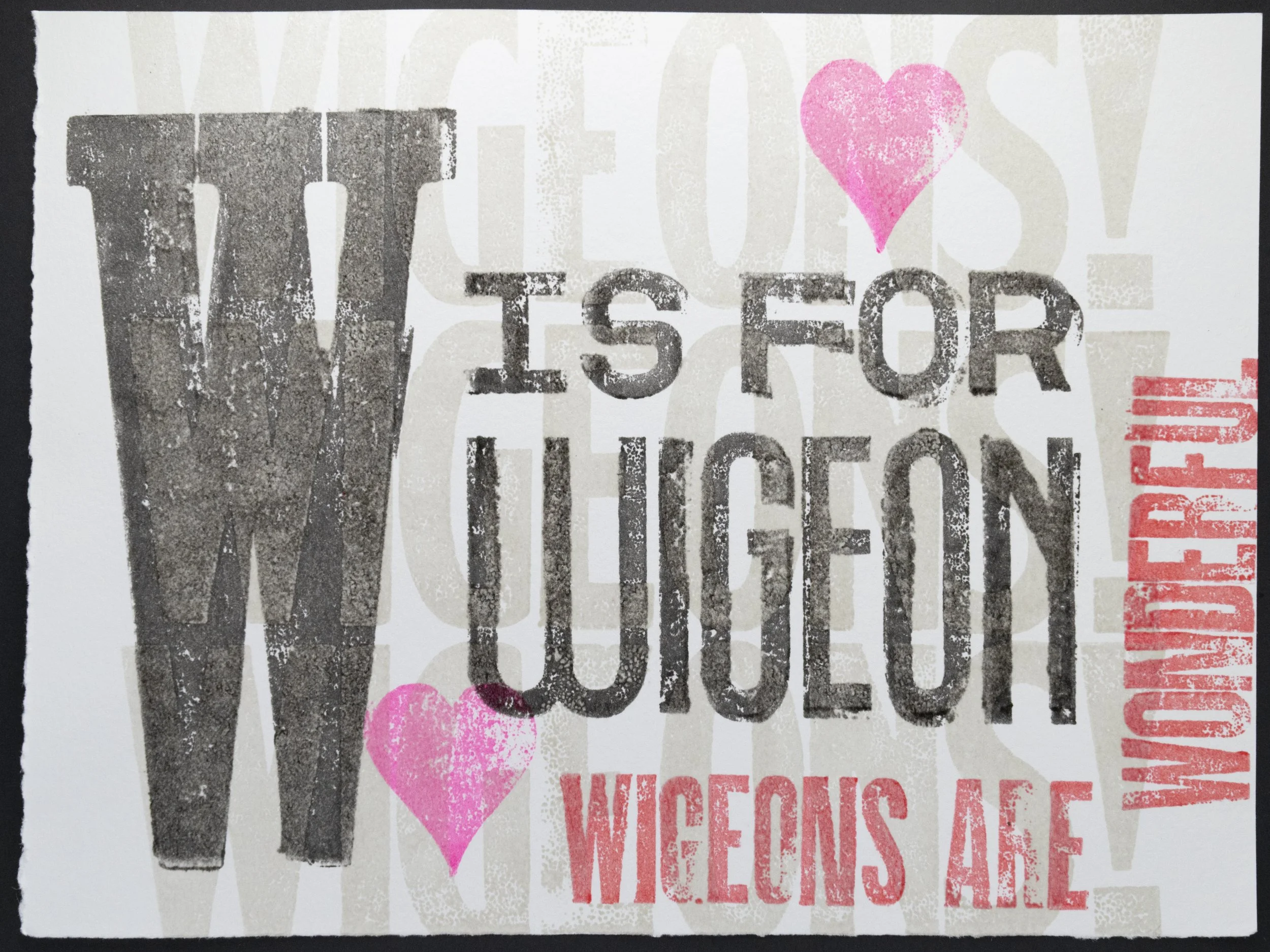 Wigeons are wonderful. Also important, wigeon rhymes with pigeon. 06/13/2025