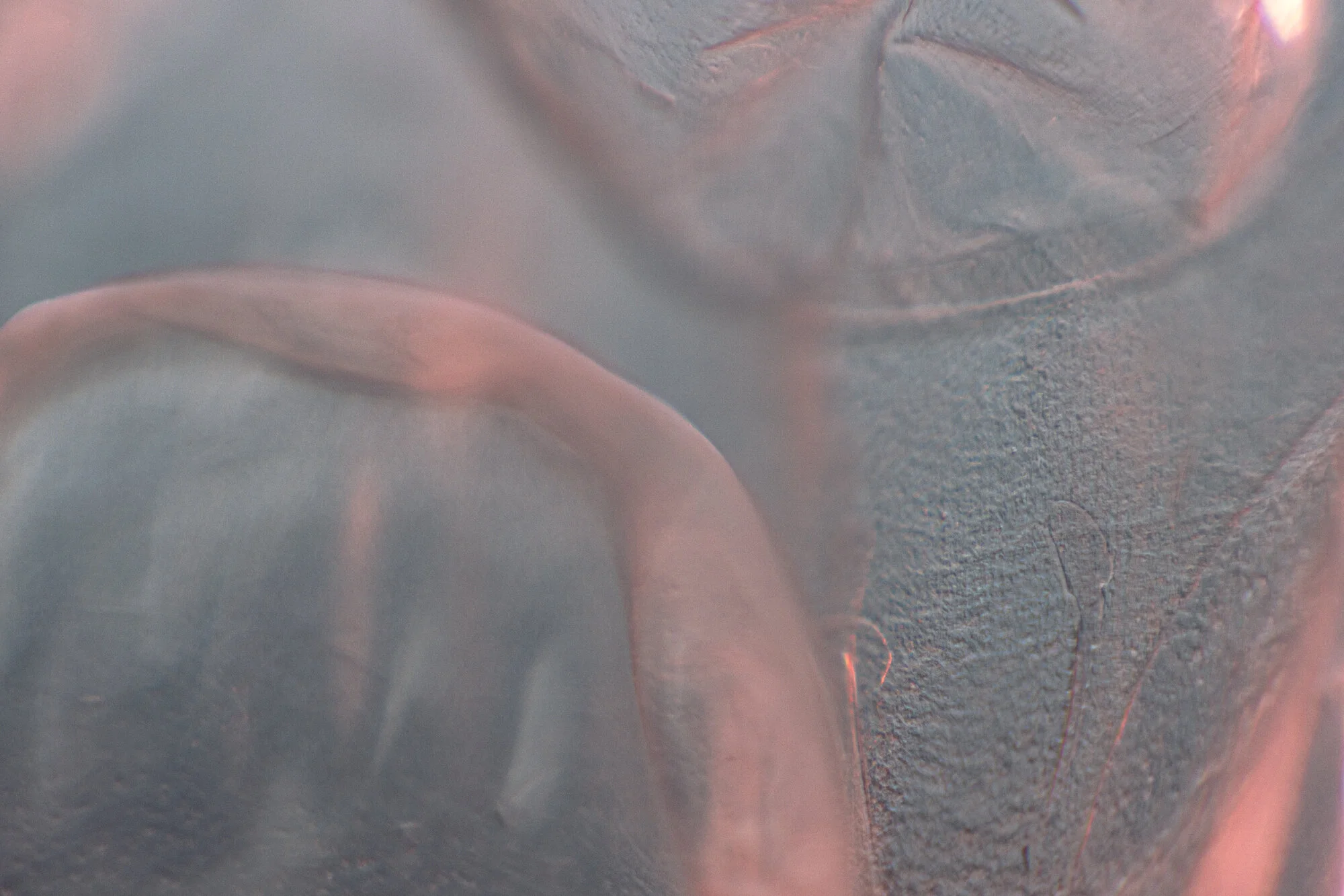 bubble wrap II