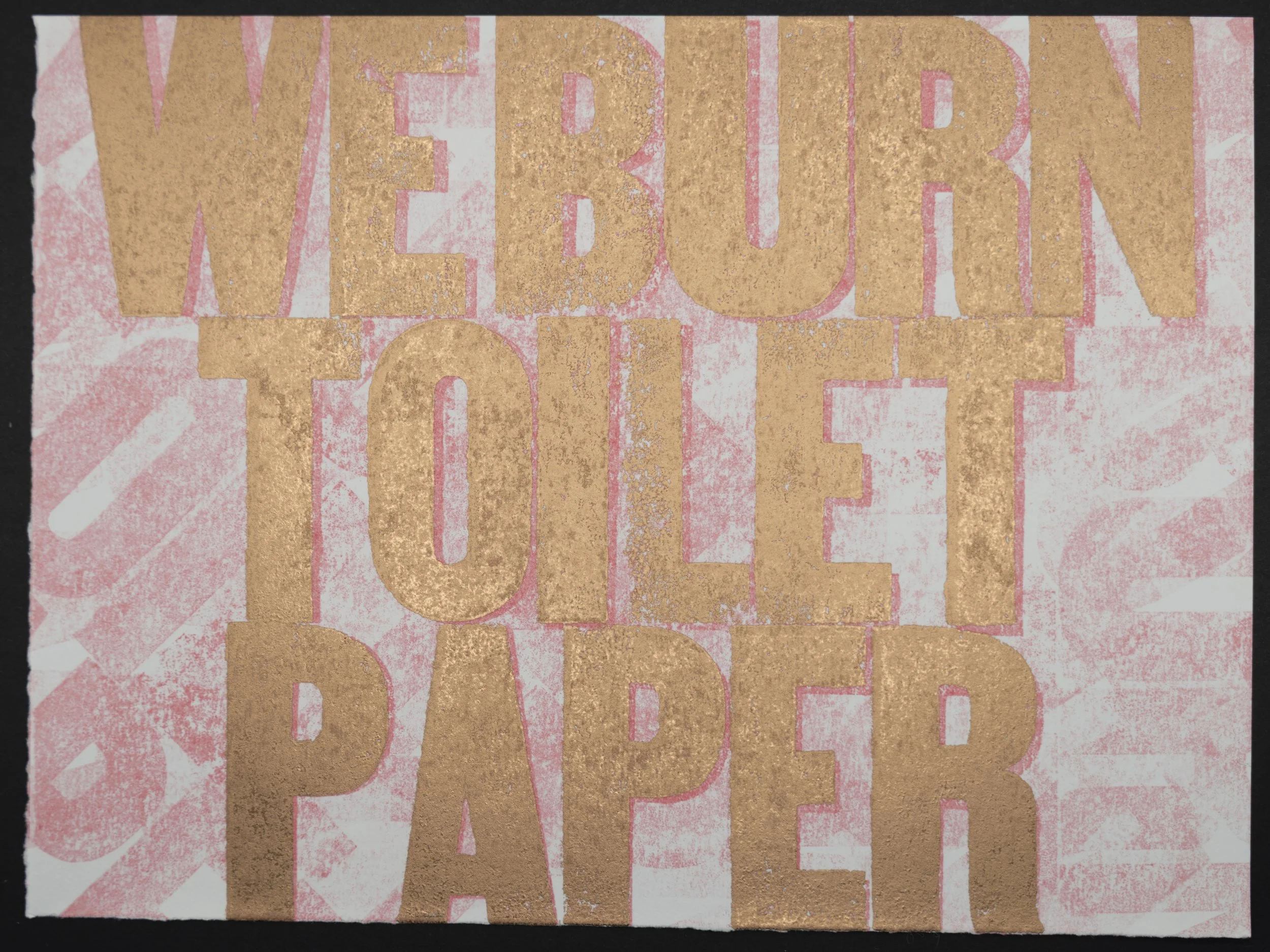 I don't want to fill the outhouse hole with toilet paper, so burn it is. 12/12/2024