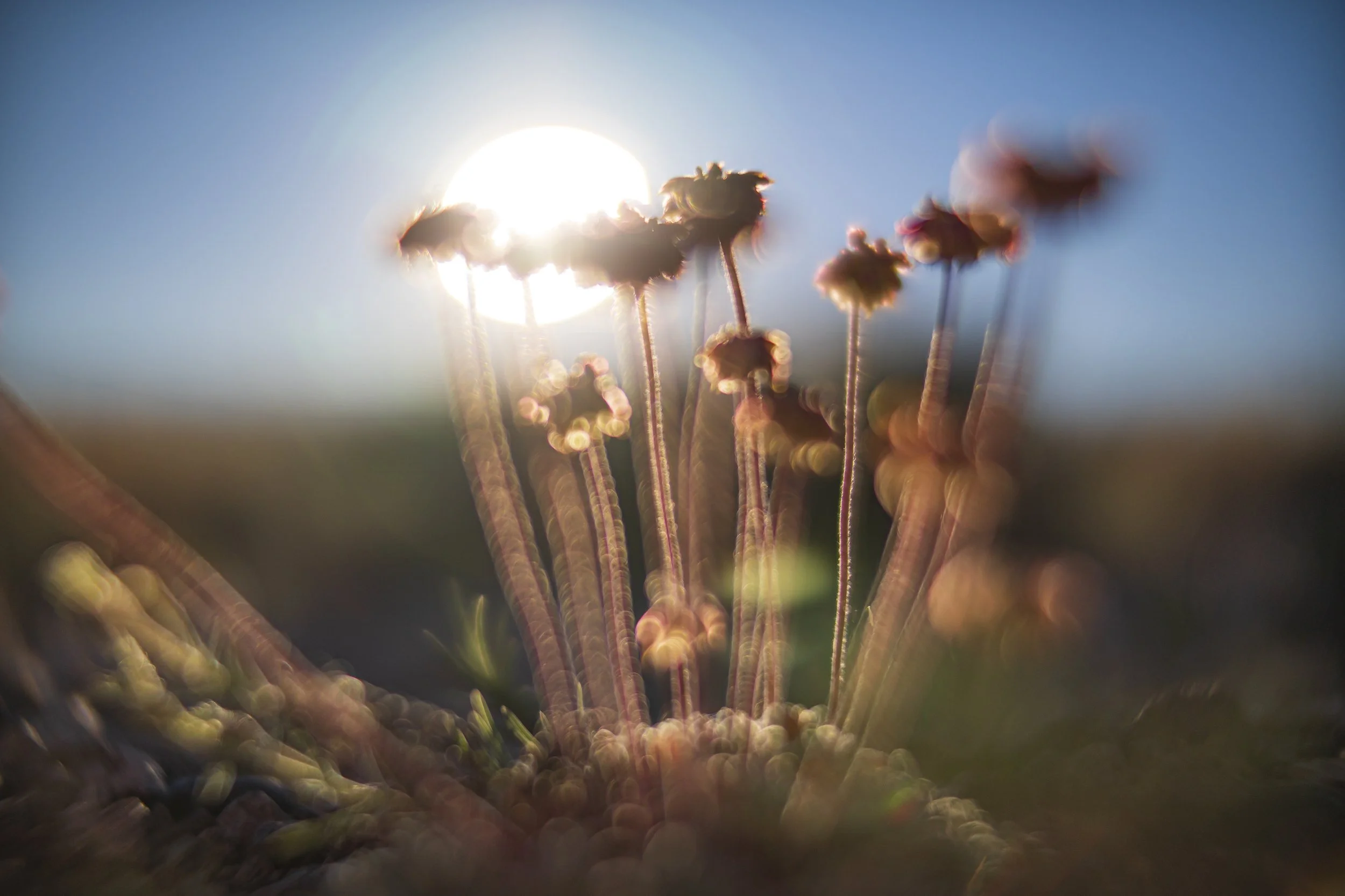 In the Sheldon National Wildlife Refuge, 2022