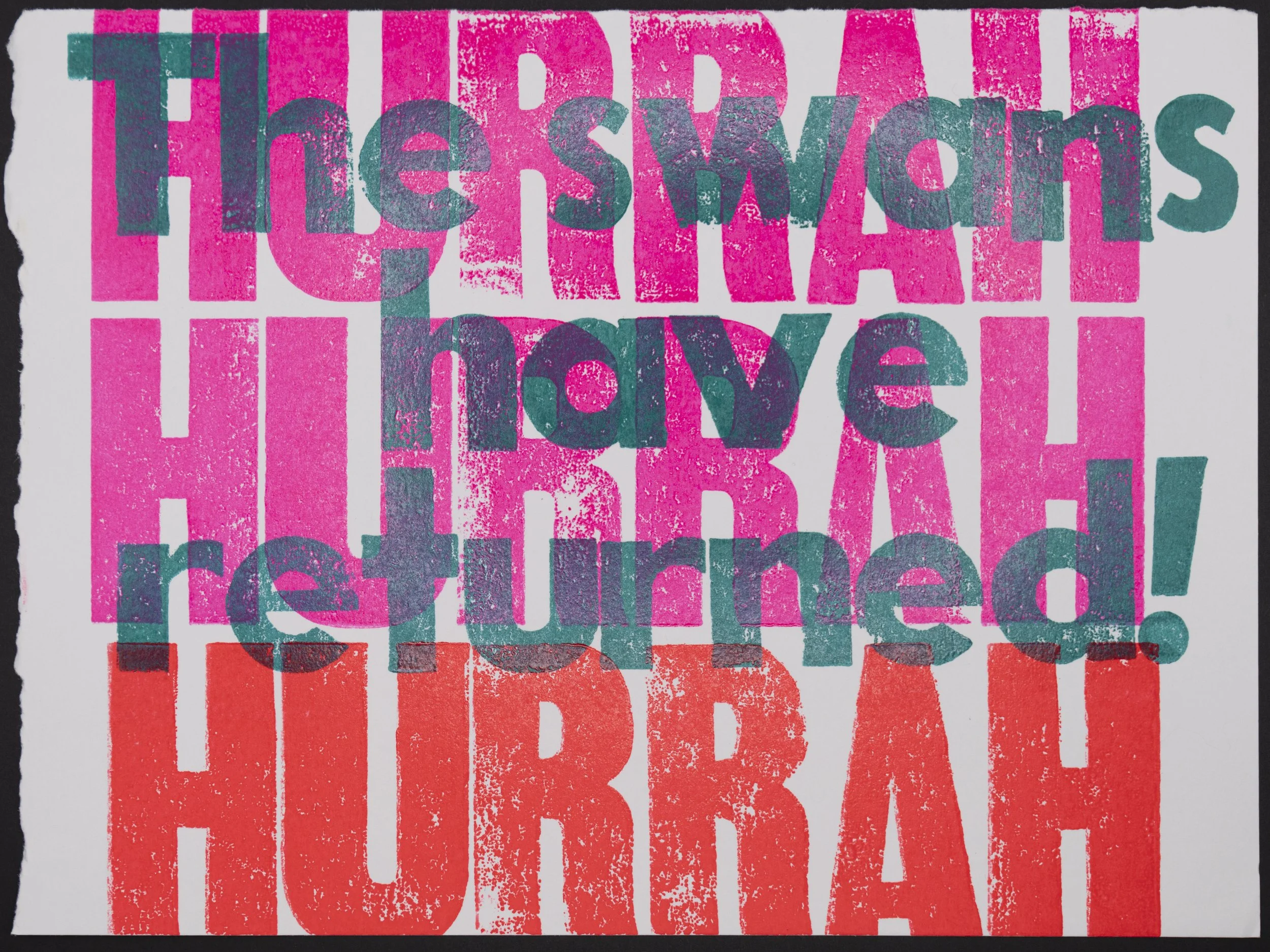 The swans! They came back! I thought they were gone for the season, but the five cygnets and two adults flew back in this afternoon. They were gone by the time I finished this print. I was so thrilled to see them, and I hope they have a good winter. 