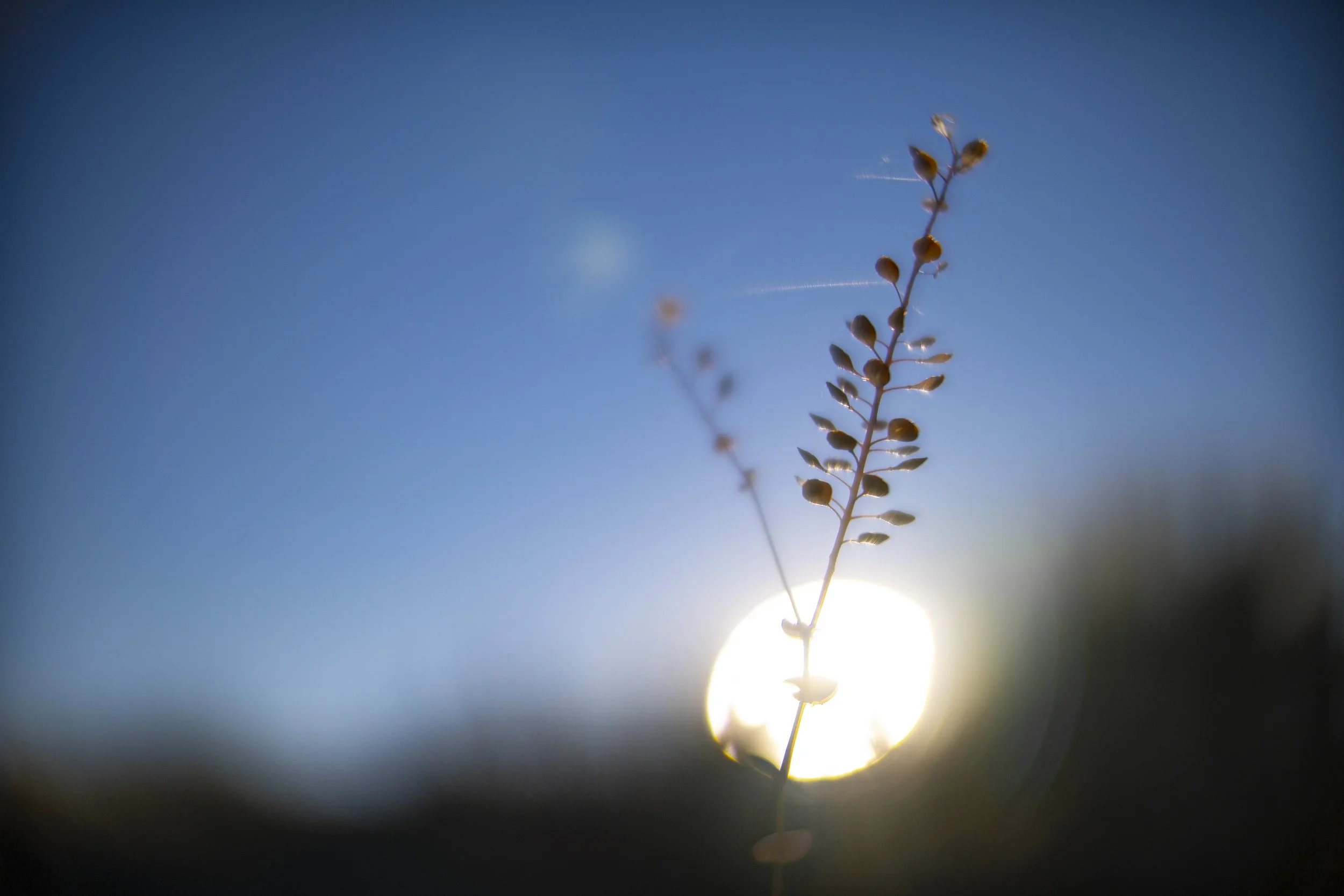 In the Sheldon National Wildlife Refuge, 2022