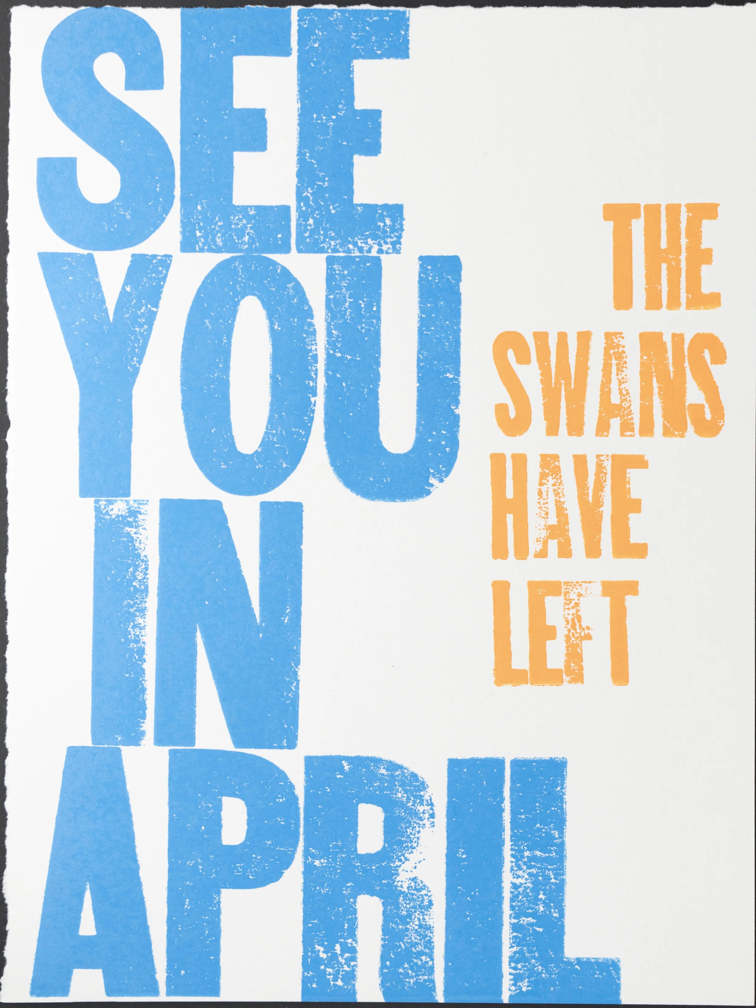 I haven't seen the family of two swans and five cygnets that lives in our pond complex in about two weeks. However, when I was getting ready to finish this print, a group of three swans flew overhead, so maybe I'll see the family one more time yet. 1