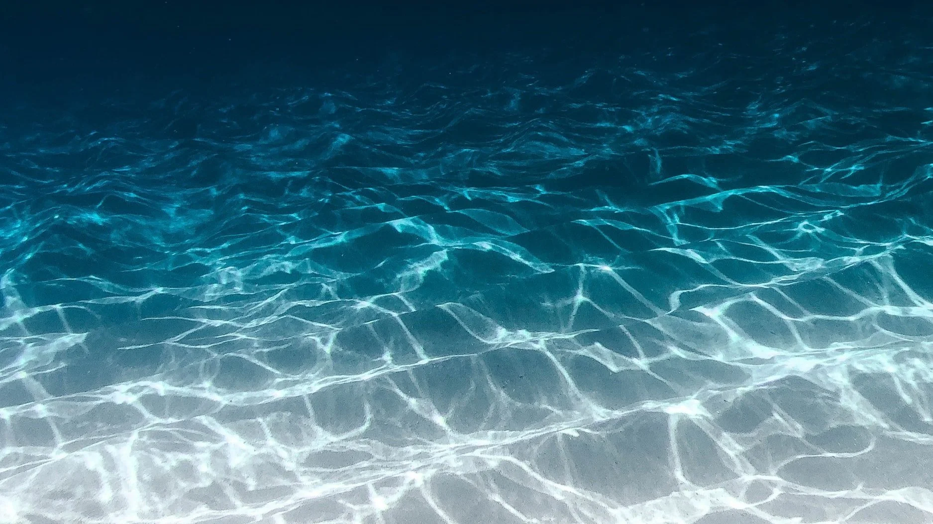 unsplash-image-f4bfvVXKZP8.jpg