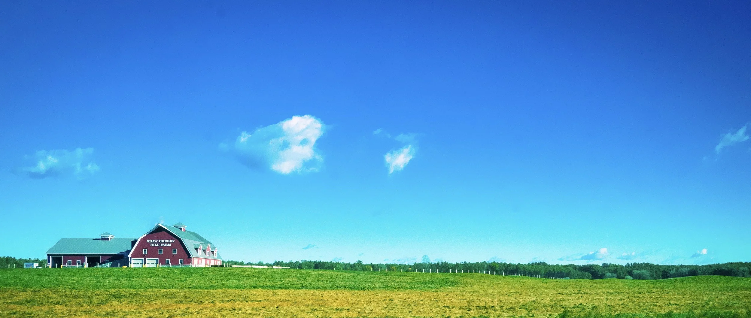 8D0B6D1D-52A1-40C9-B42C-266122599232.jpeg