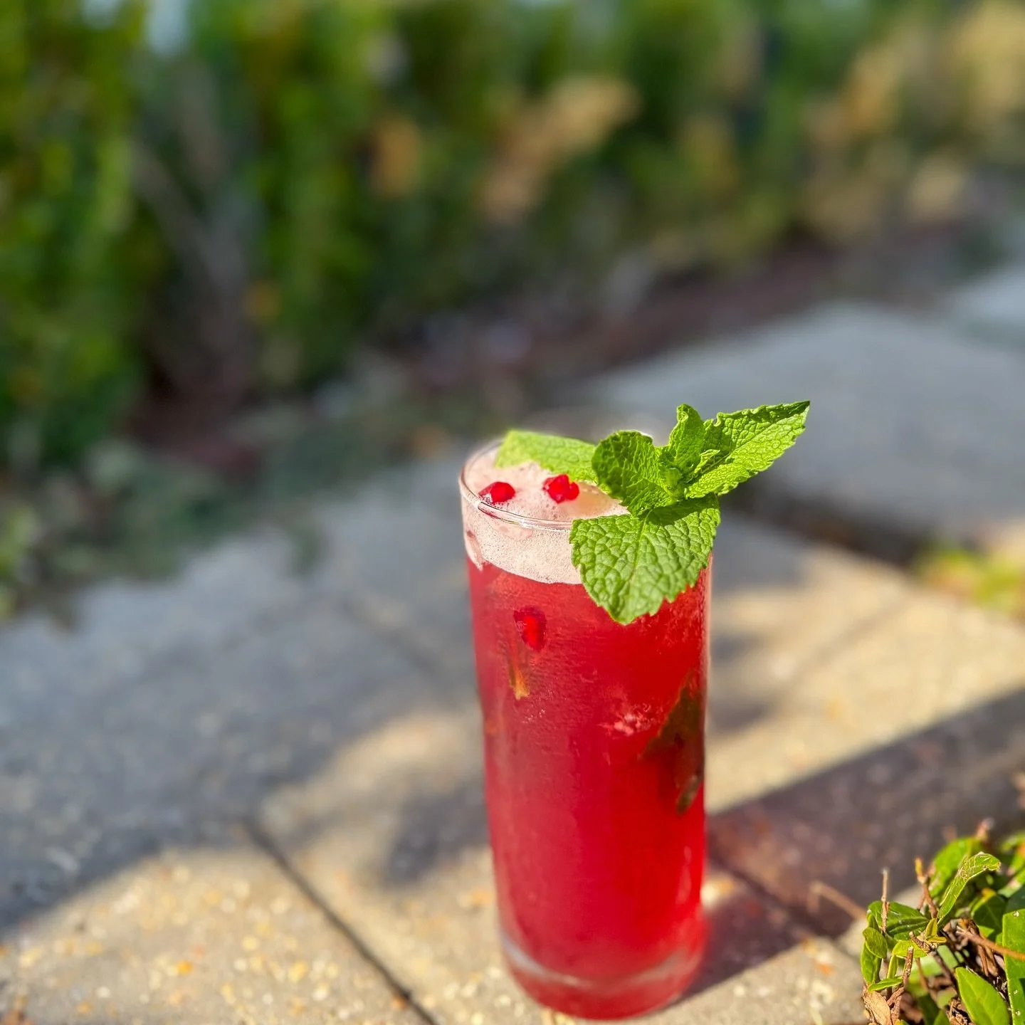 🍁 Fall Flavors Have Arrived 🍁
Meet our two new seasonal sips:
🥃 The Autumn Sour — A smooth, cozy twist featuring maple syrup, amaretto or bourbon (we couldn’t decide… so you get to).
🍸 The Mint Condition — A bright pomeg