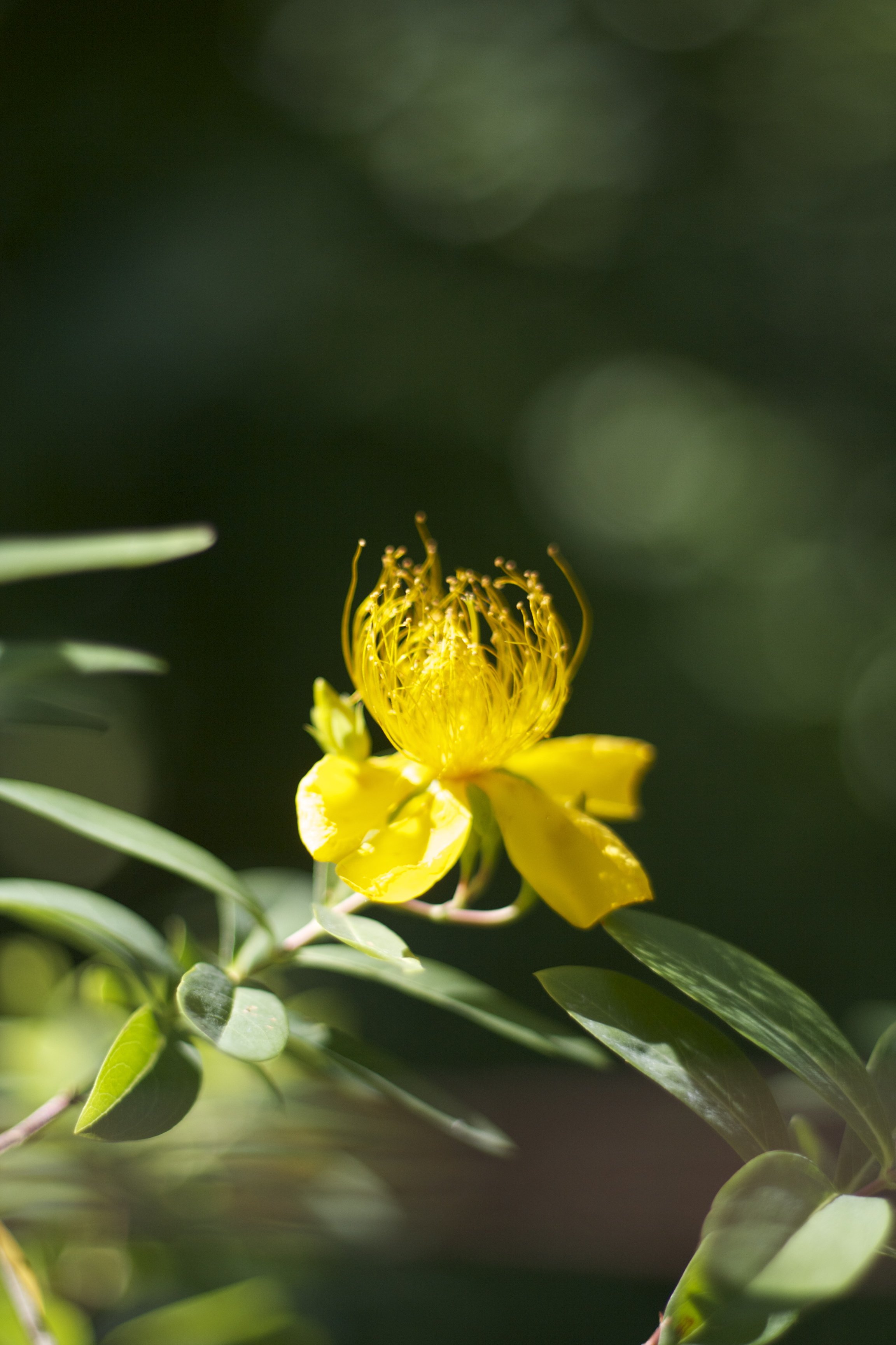 IMG_6129.jpeg