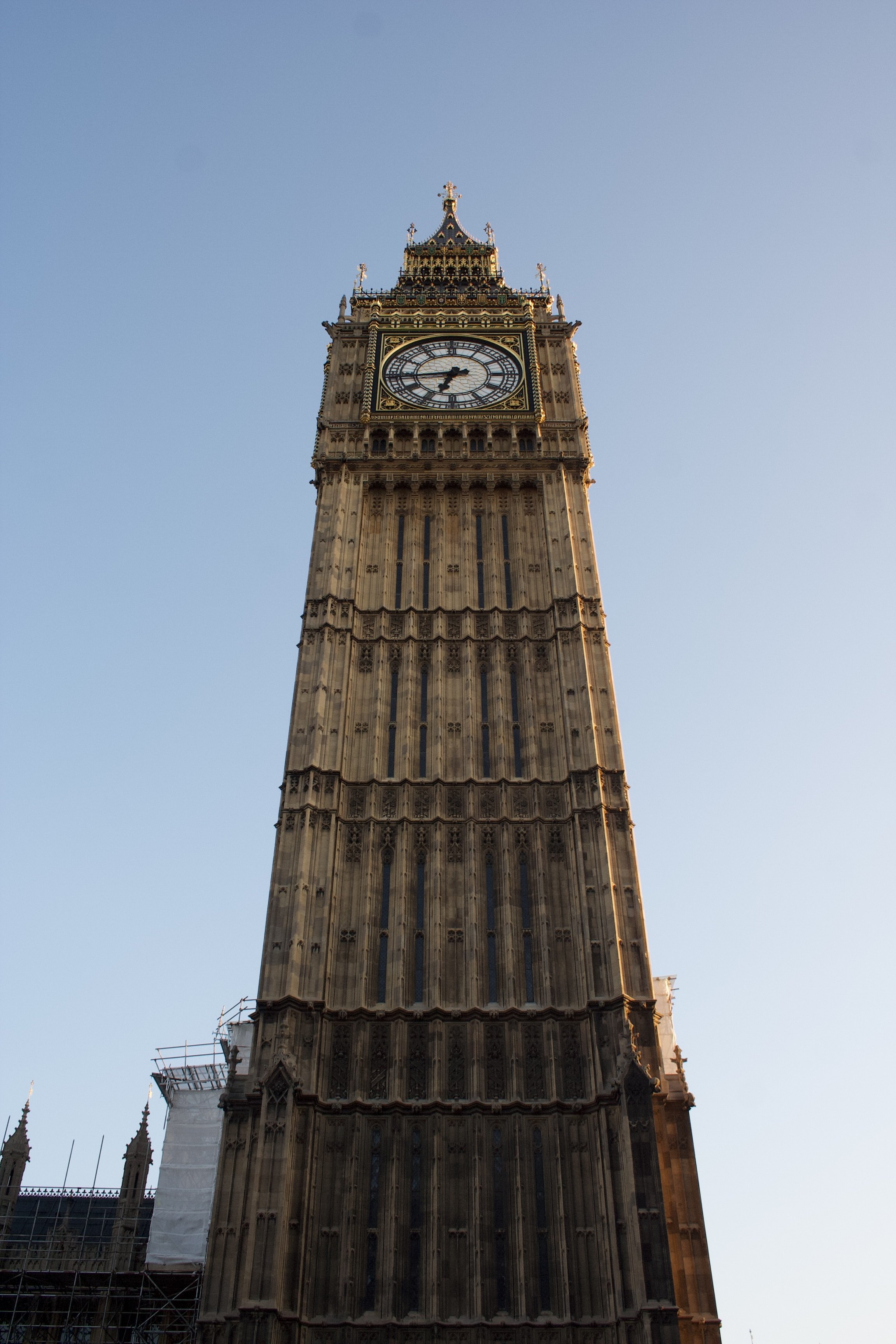 IMG_3125.jpeg