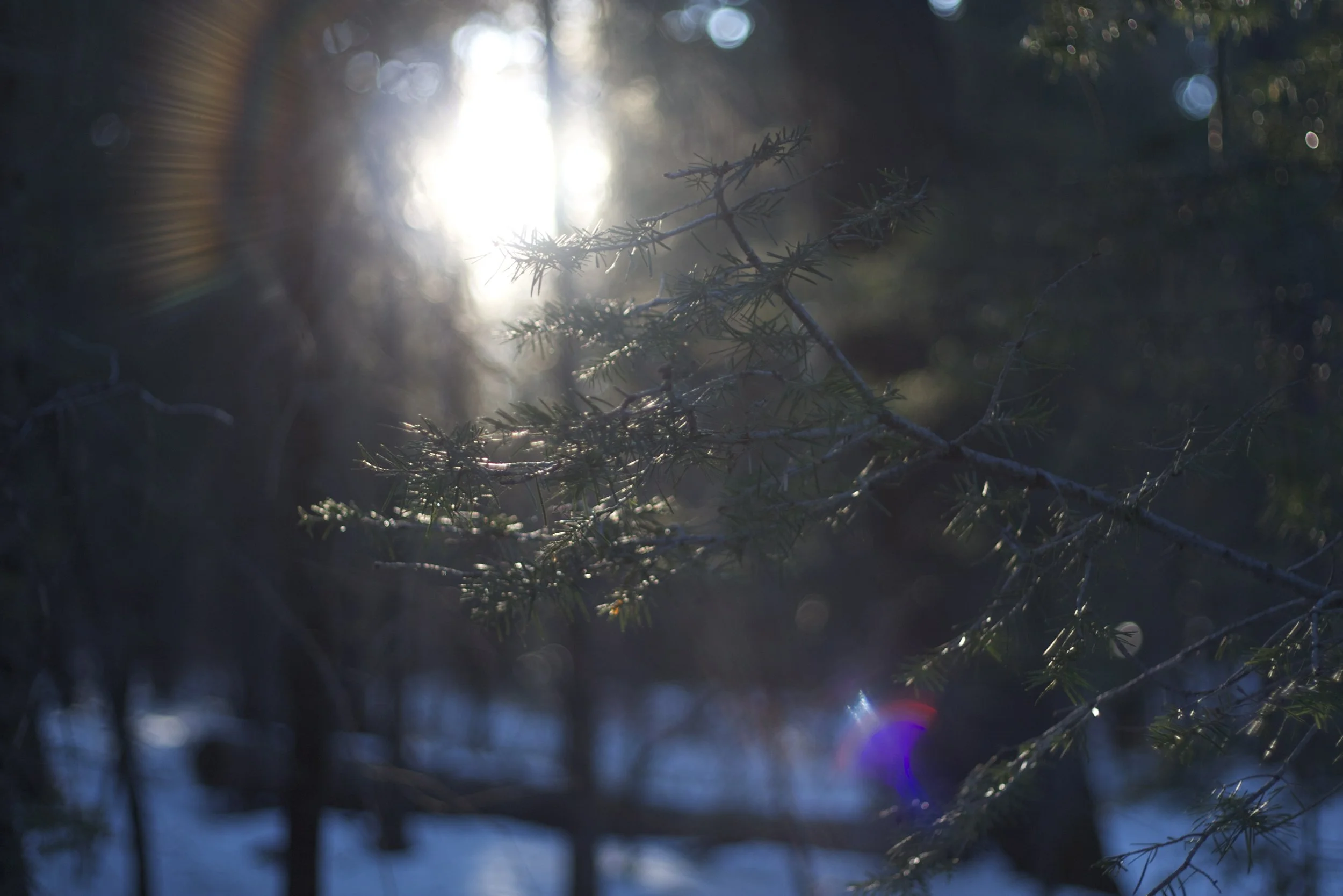 IMG_5299.jpeg