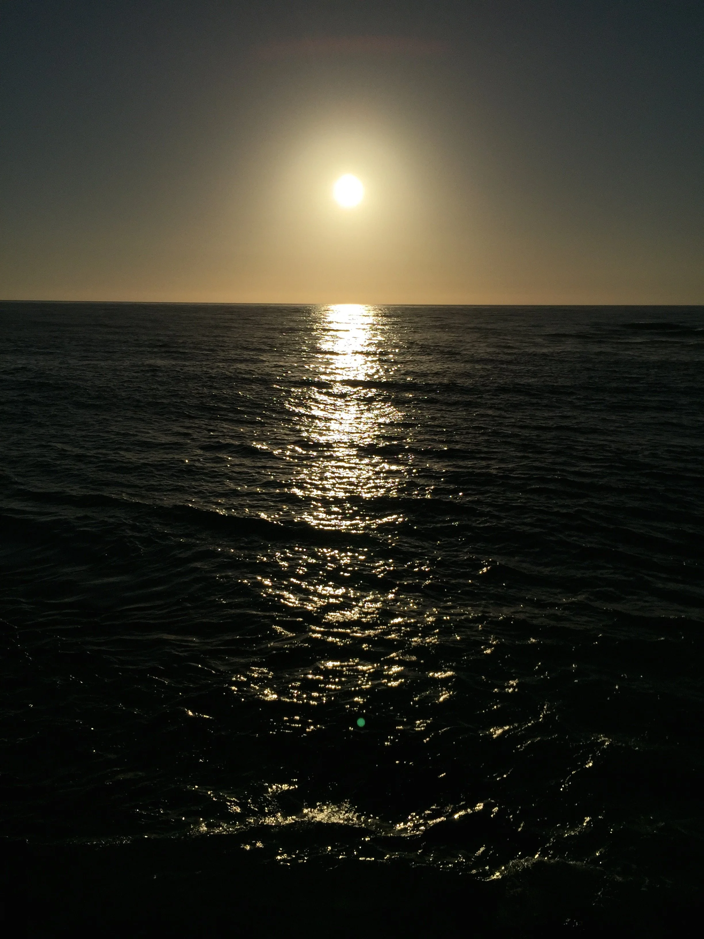IMG_8610.JPG