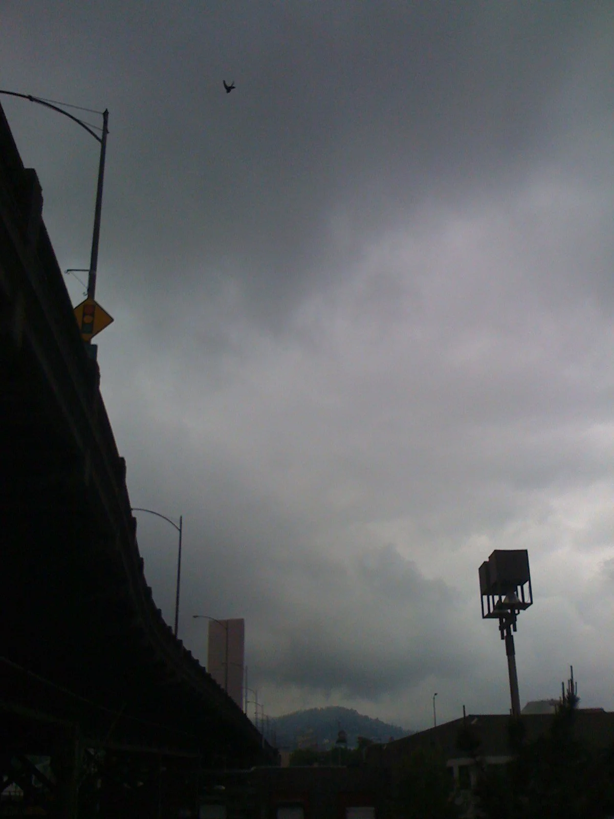 SI850155.JPG