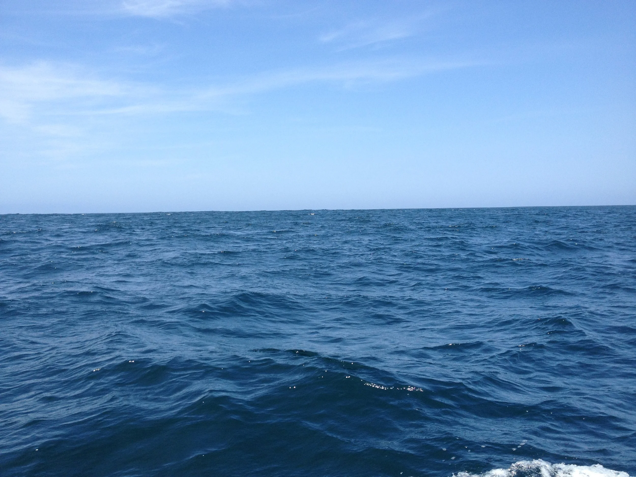 IMG_5961.JPG