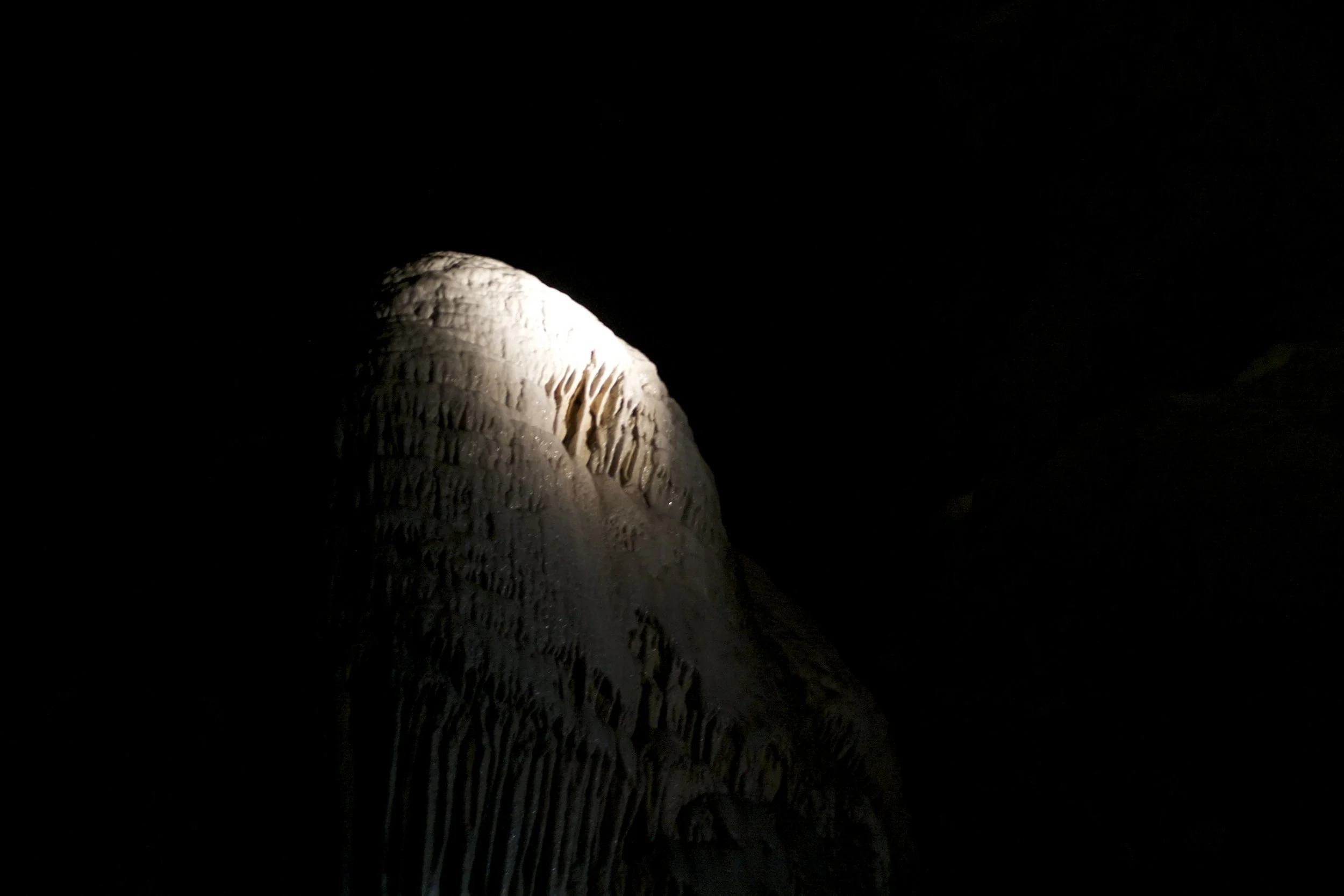 IMG_4884.jpeg