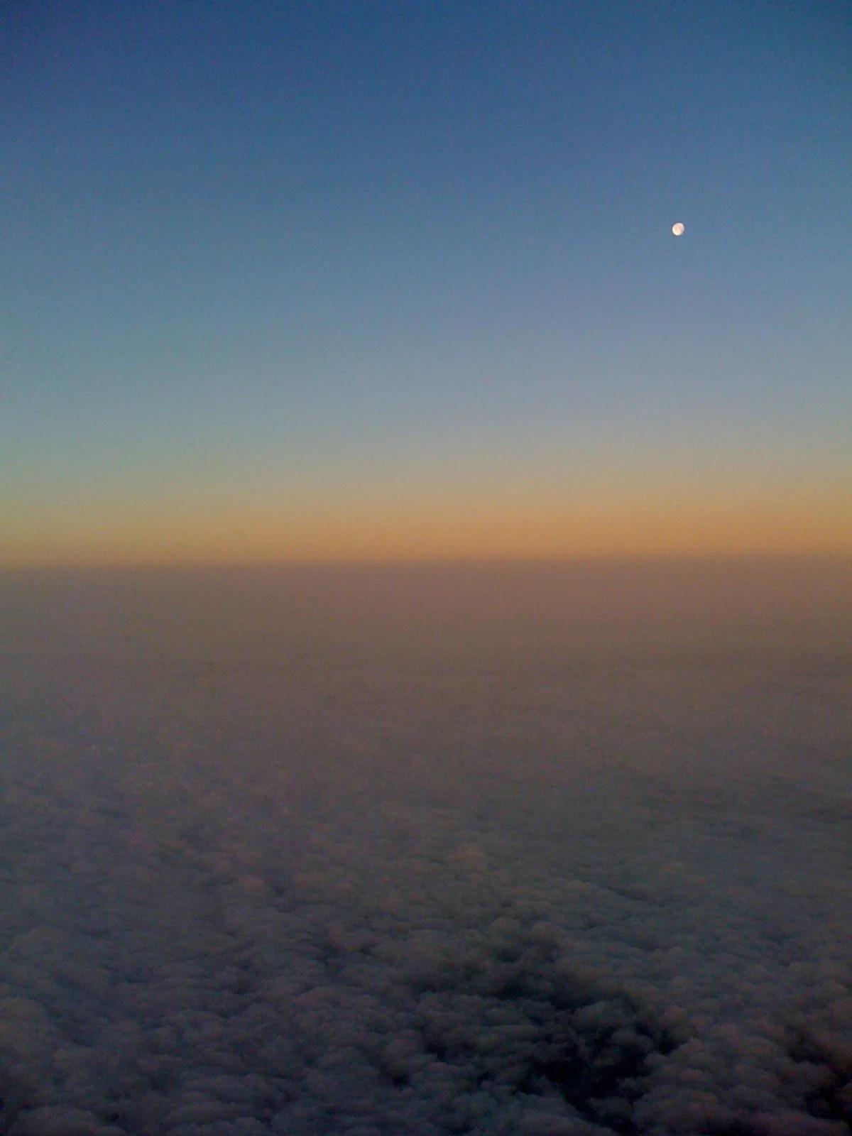 IMG_1641.jpeg